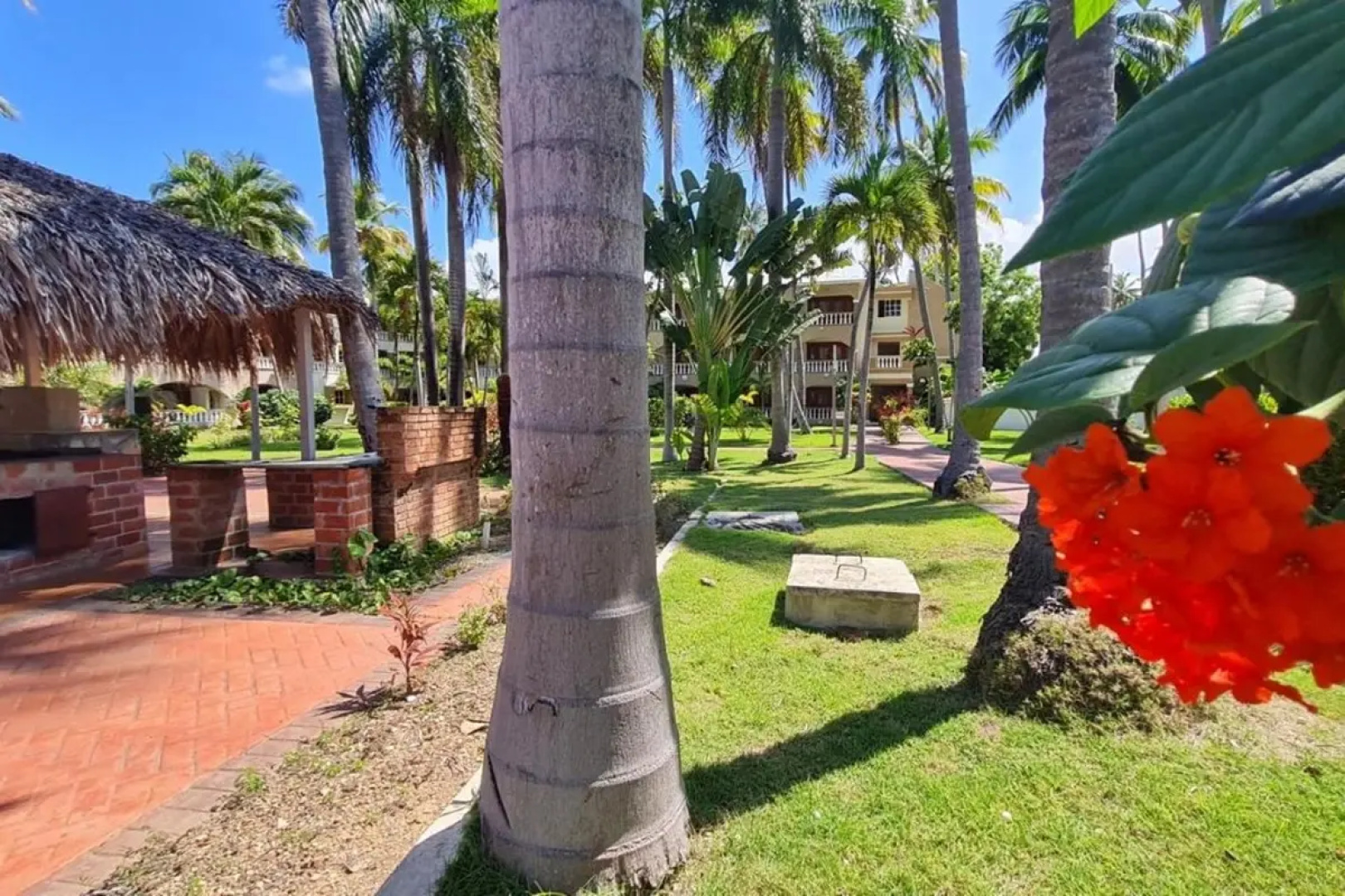Hotel Cortecito Inn Bavaro