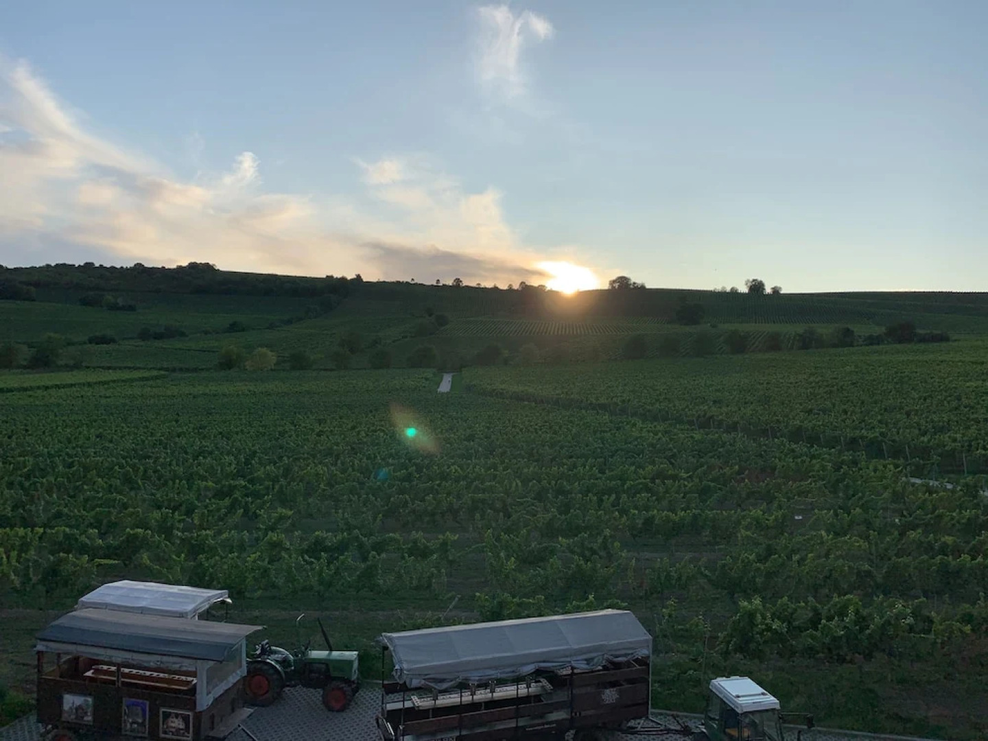 Oppenheim Ferienwohnung Martin