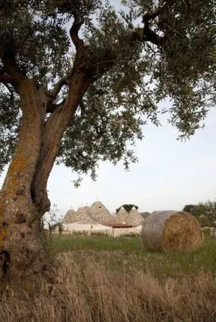 Trulli Paparale