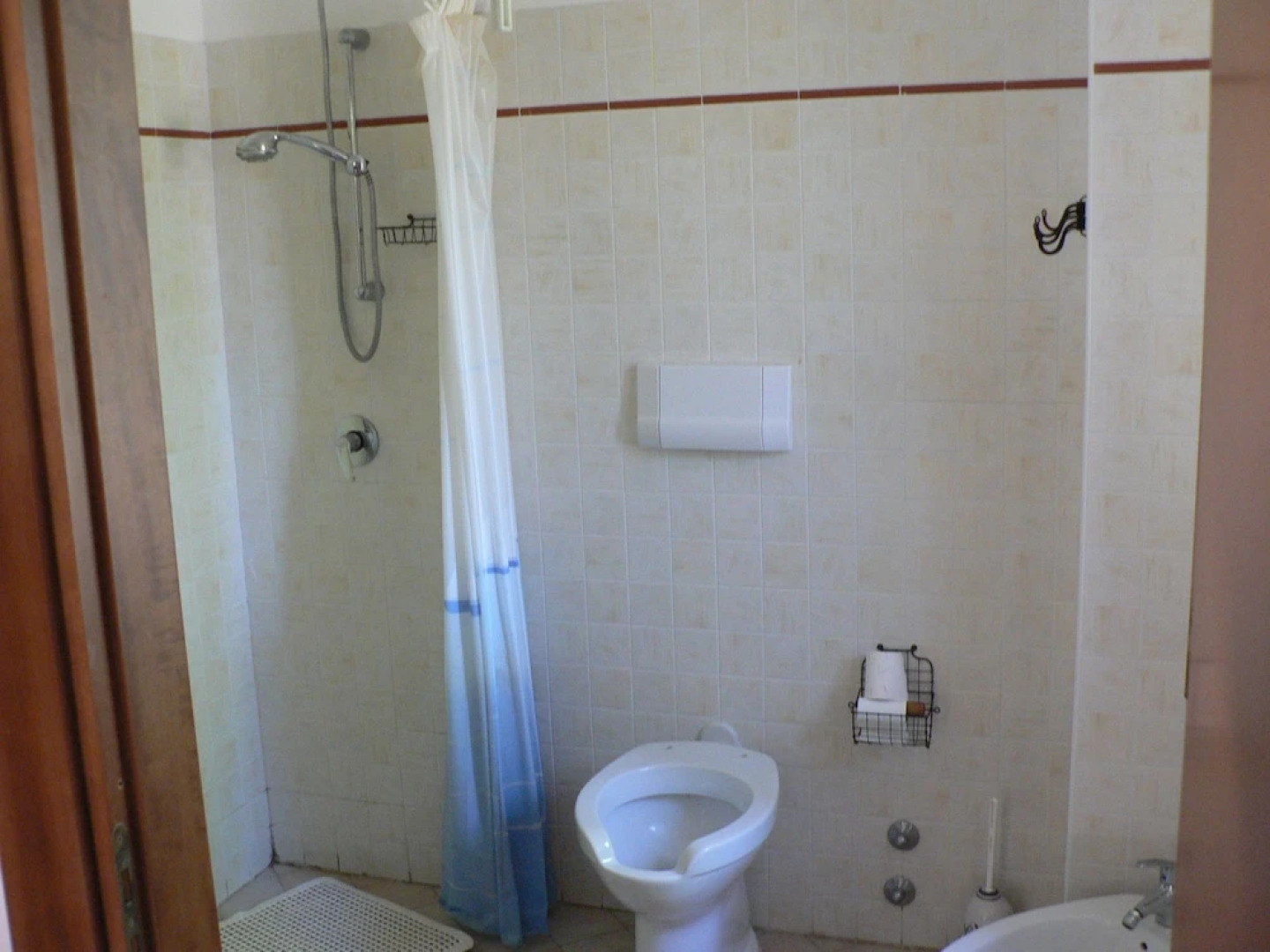 La Gabbianella e il Gatto