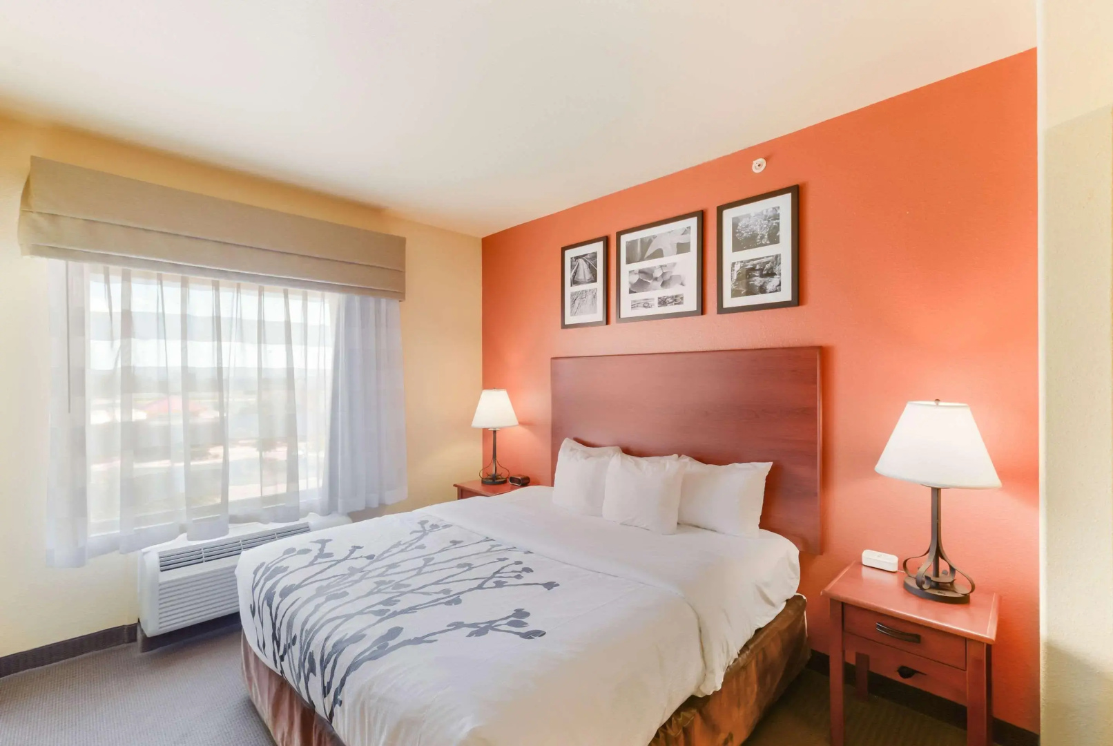 Sleep Inn & Suites Midland West