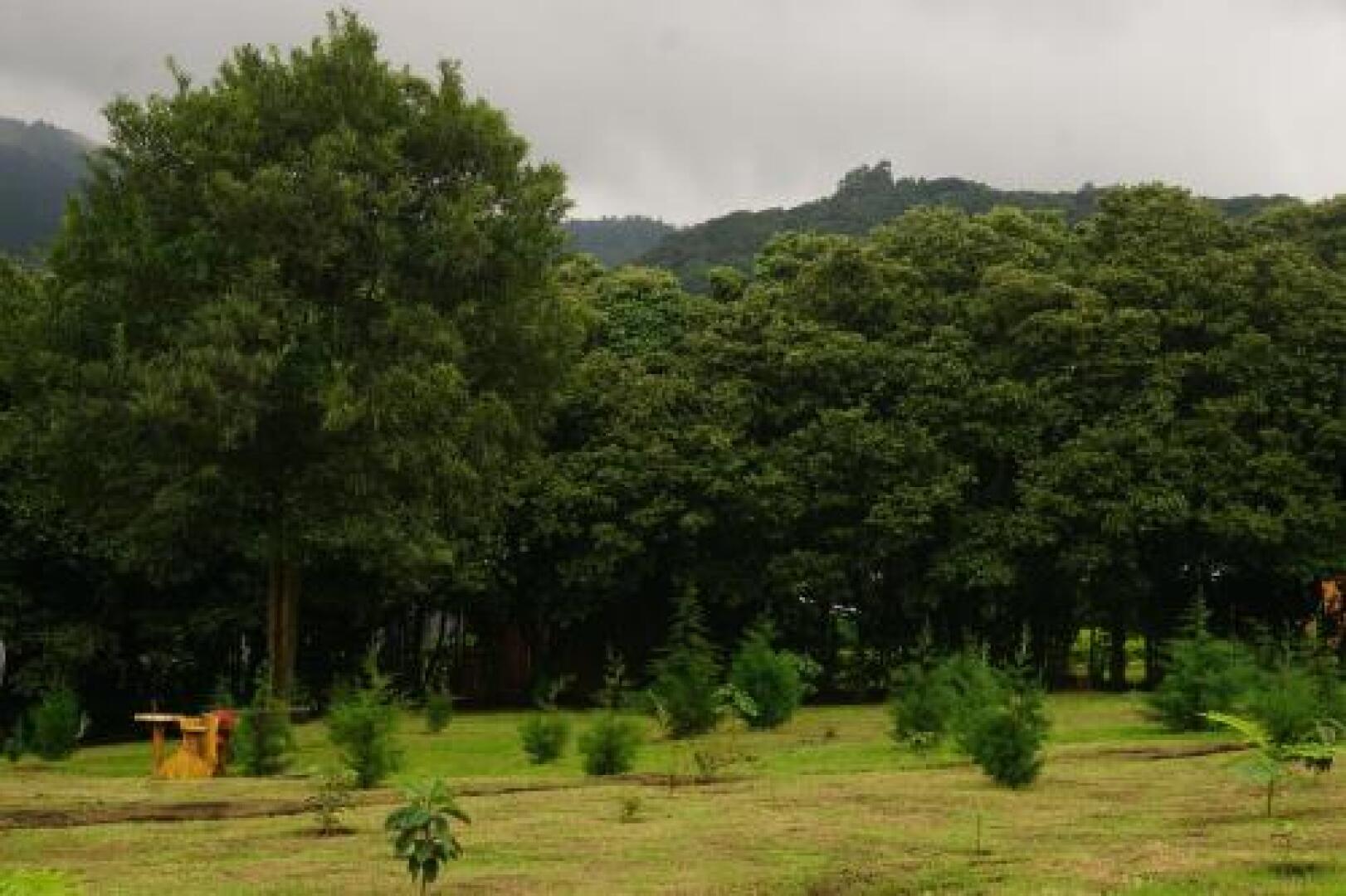 El Escondite de la Montaña