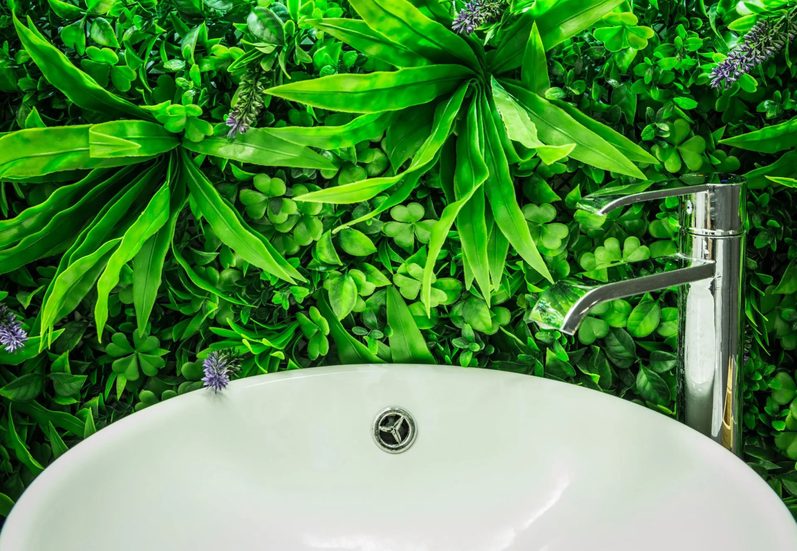 Oleander Boutique Apartments