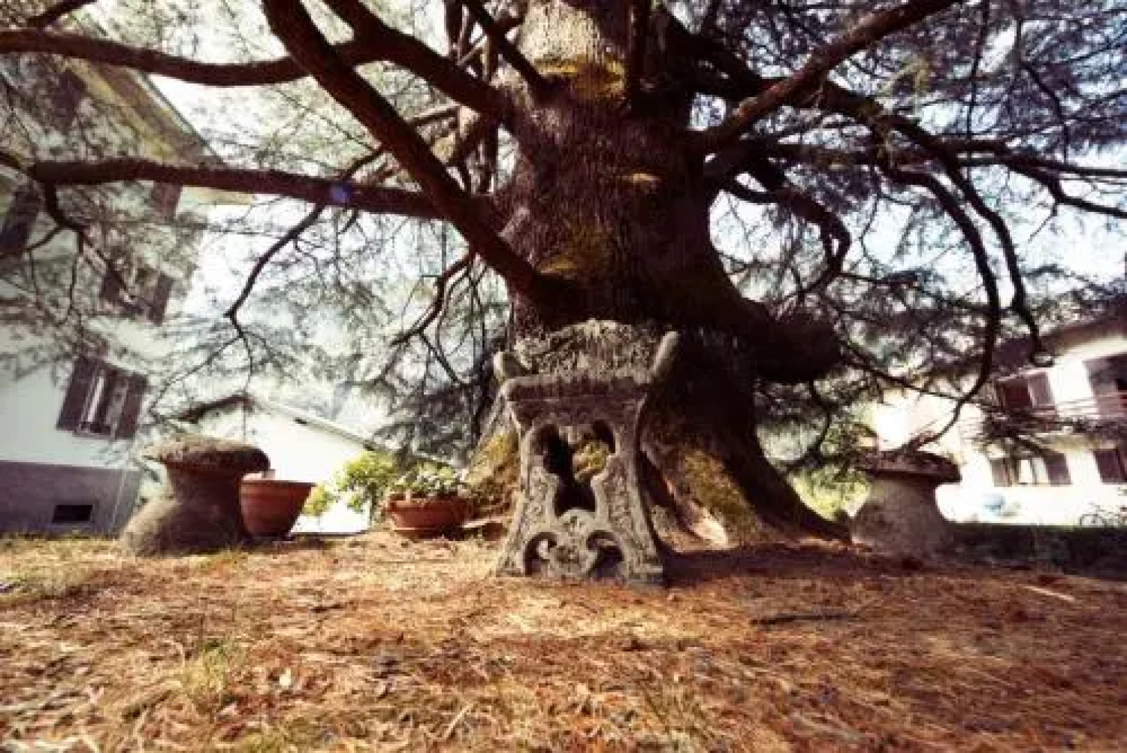 Bed and Breakfast Villa Nante