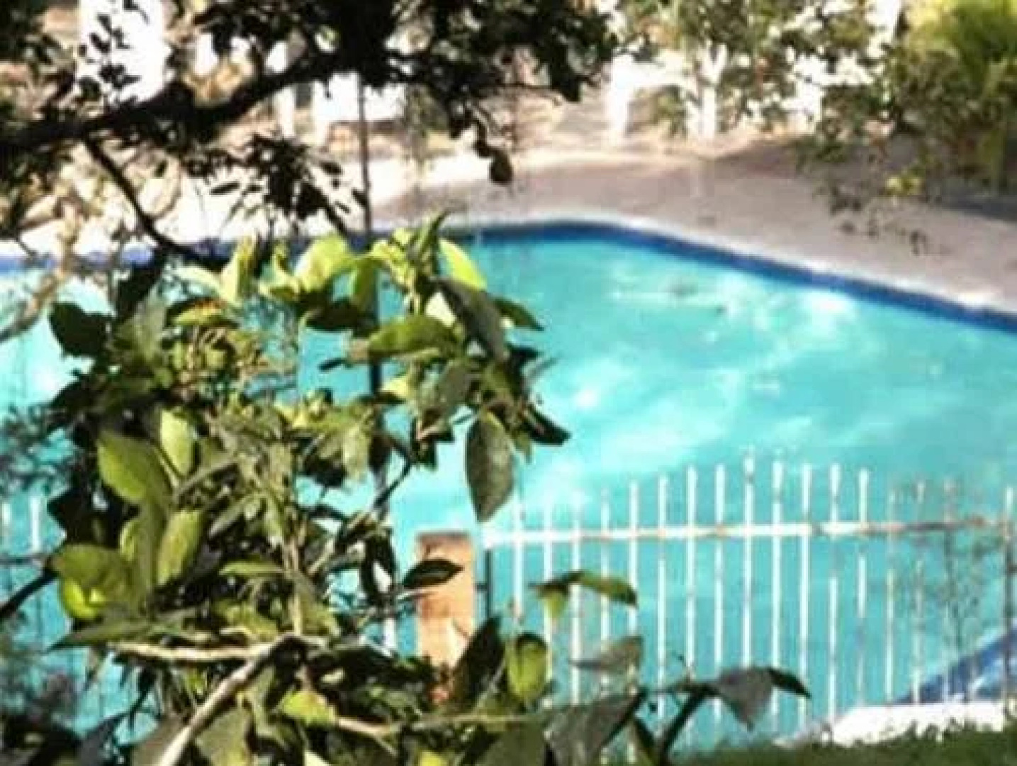 Hotel California Pacho