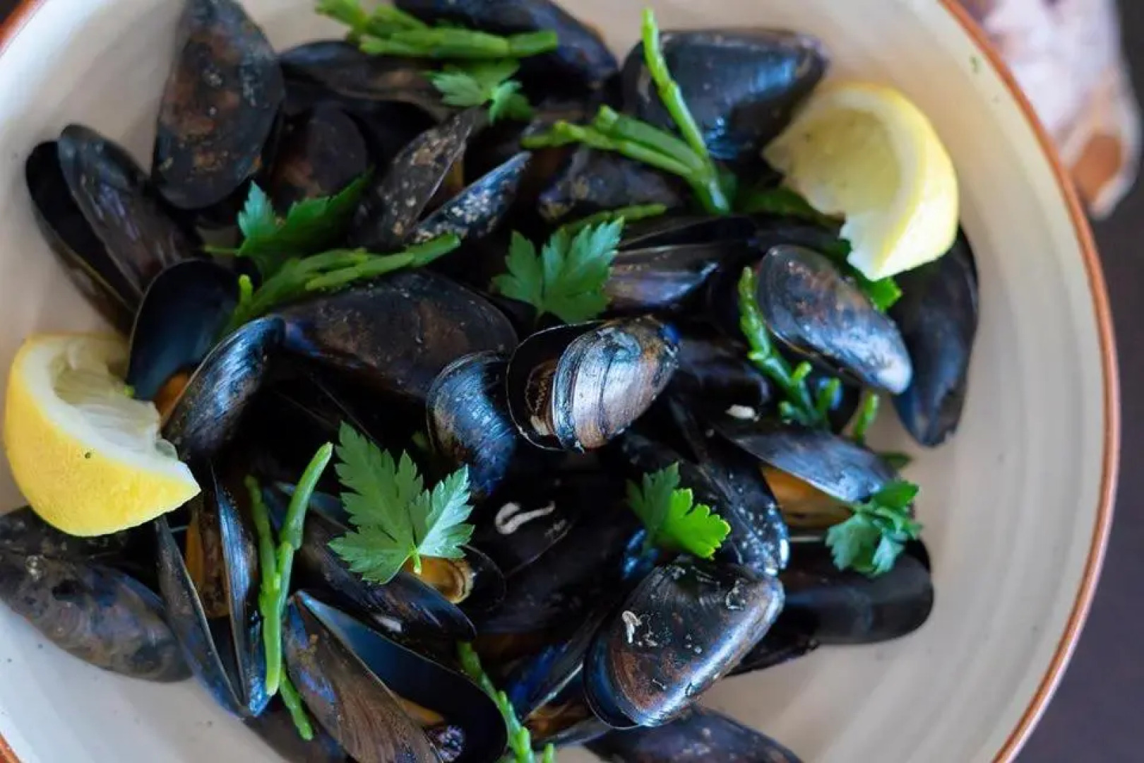 The Addresse on the Beach