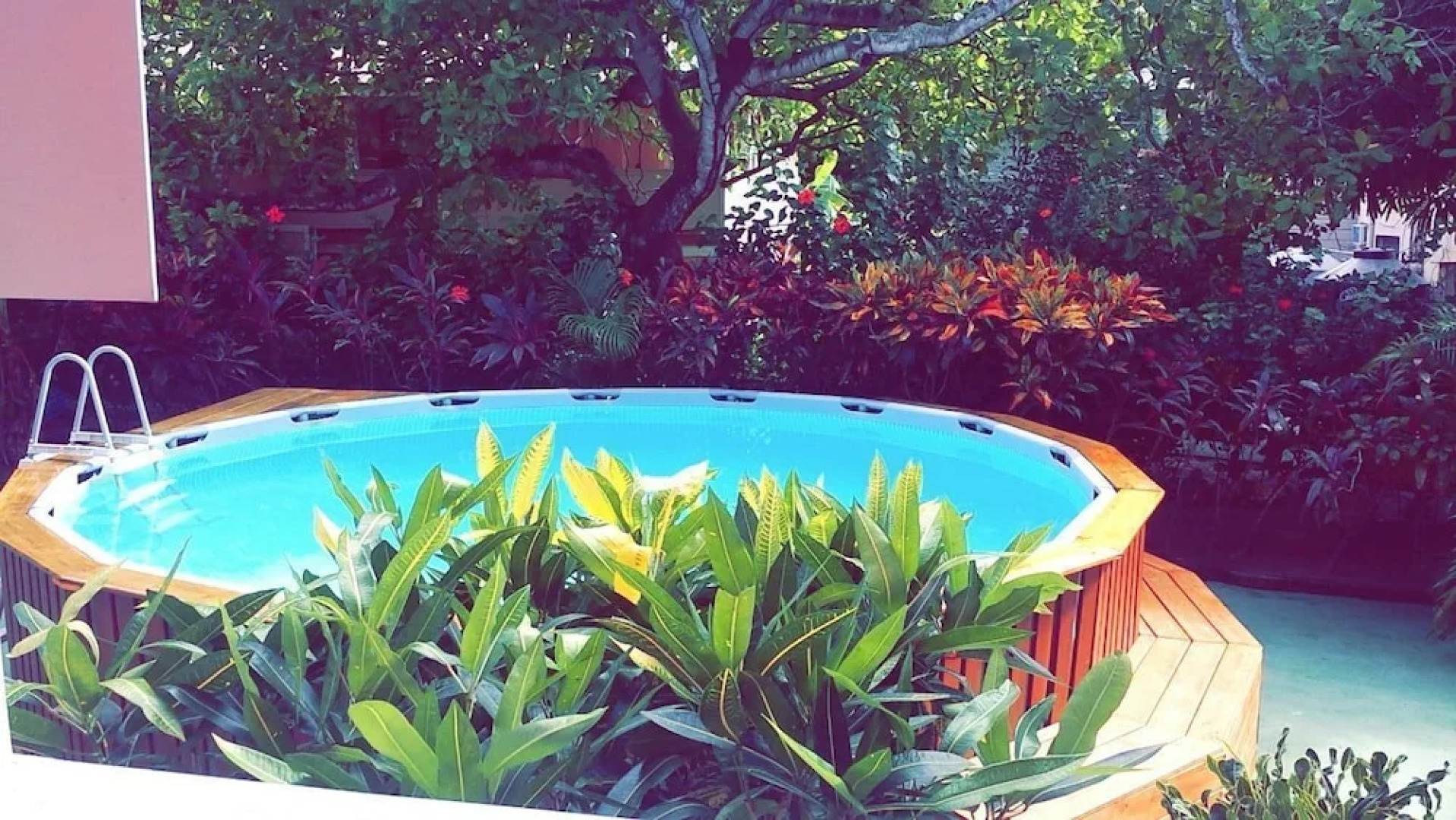 Hotel La Quinta Roatan