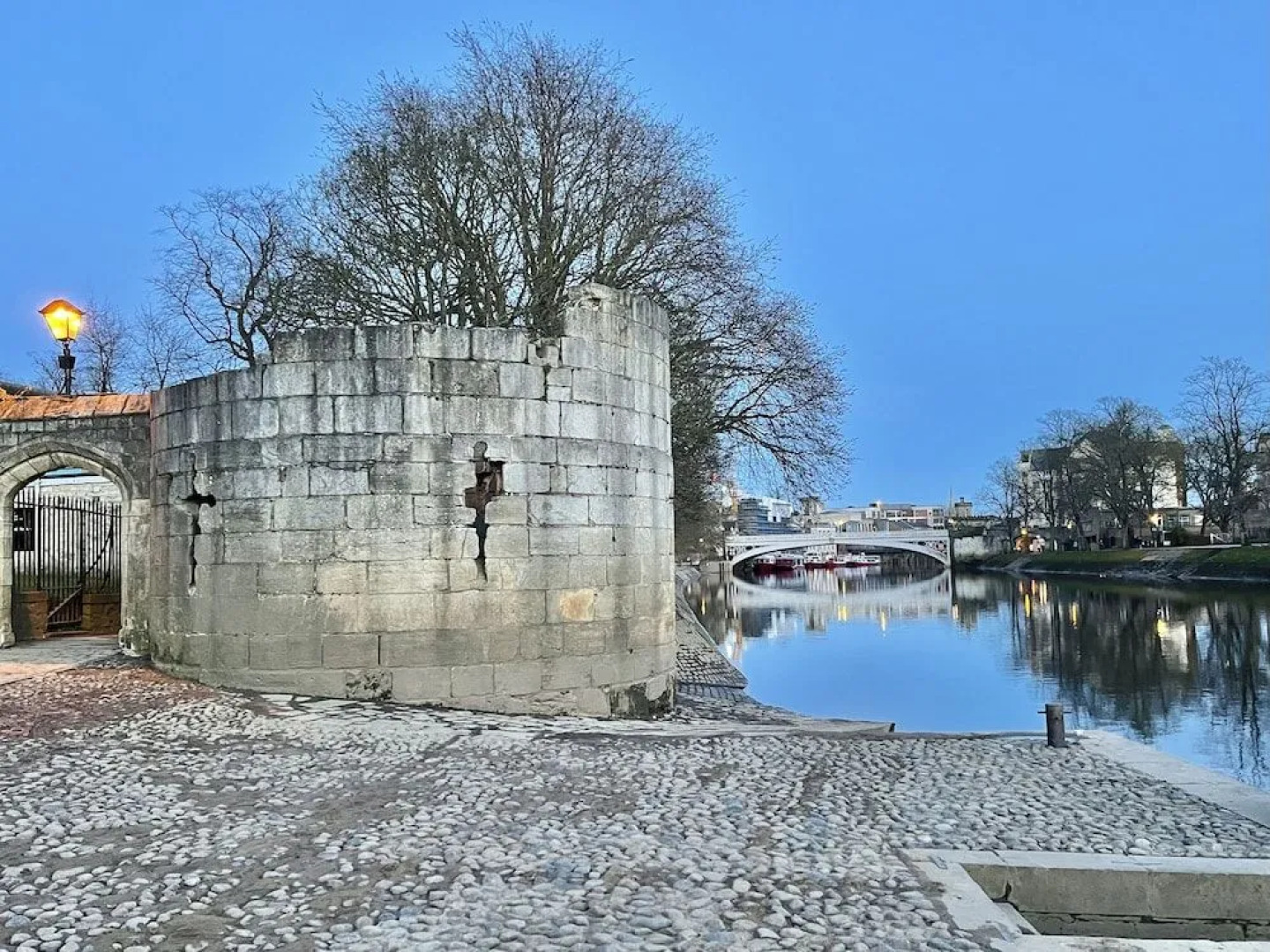 The Bishop And The Bison