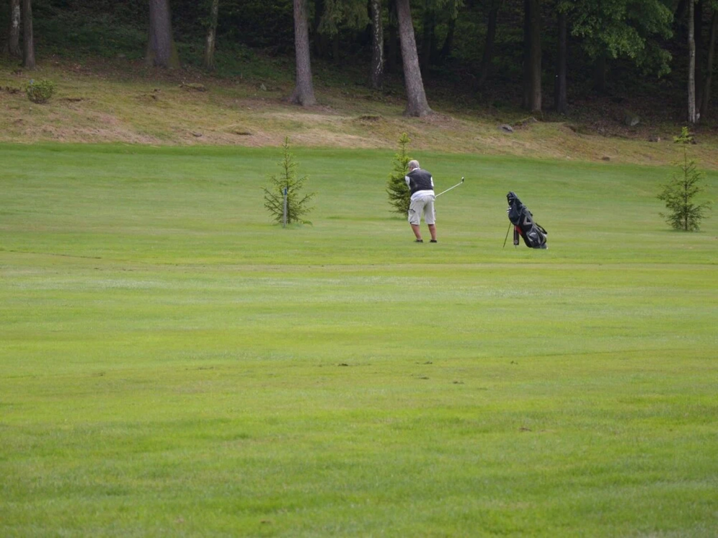 Modern Mansion in Bene ov u Semil With Pool