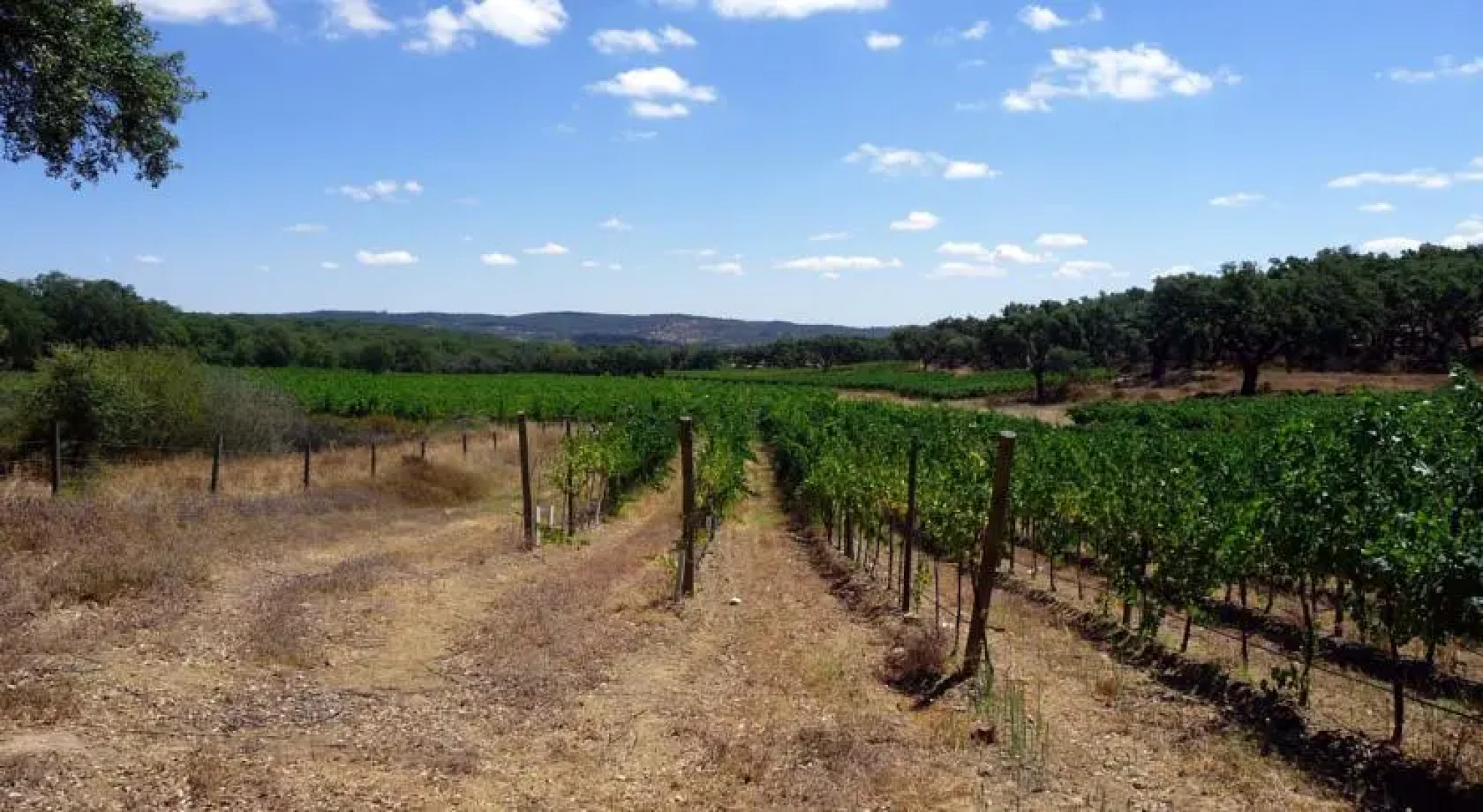 Passareiro Country House