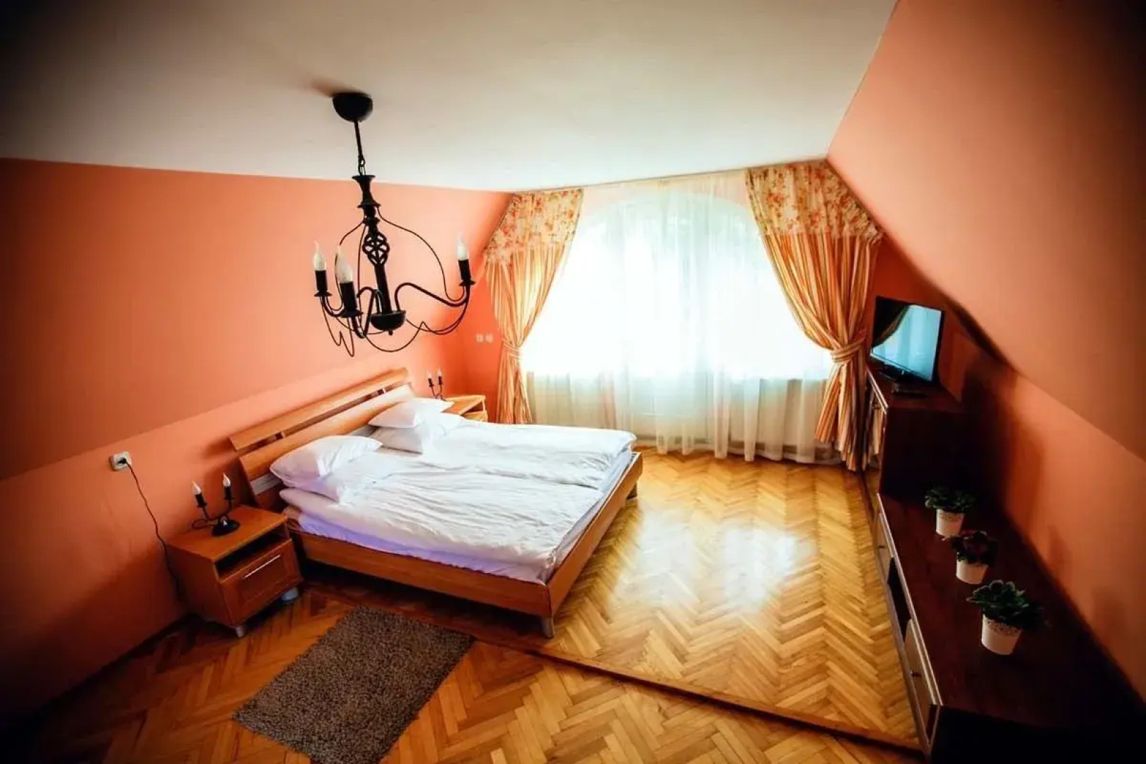 Червона Рута