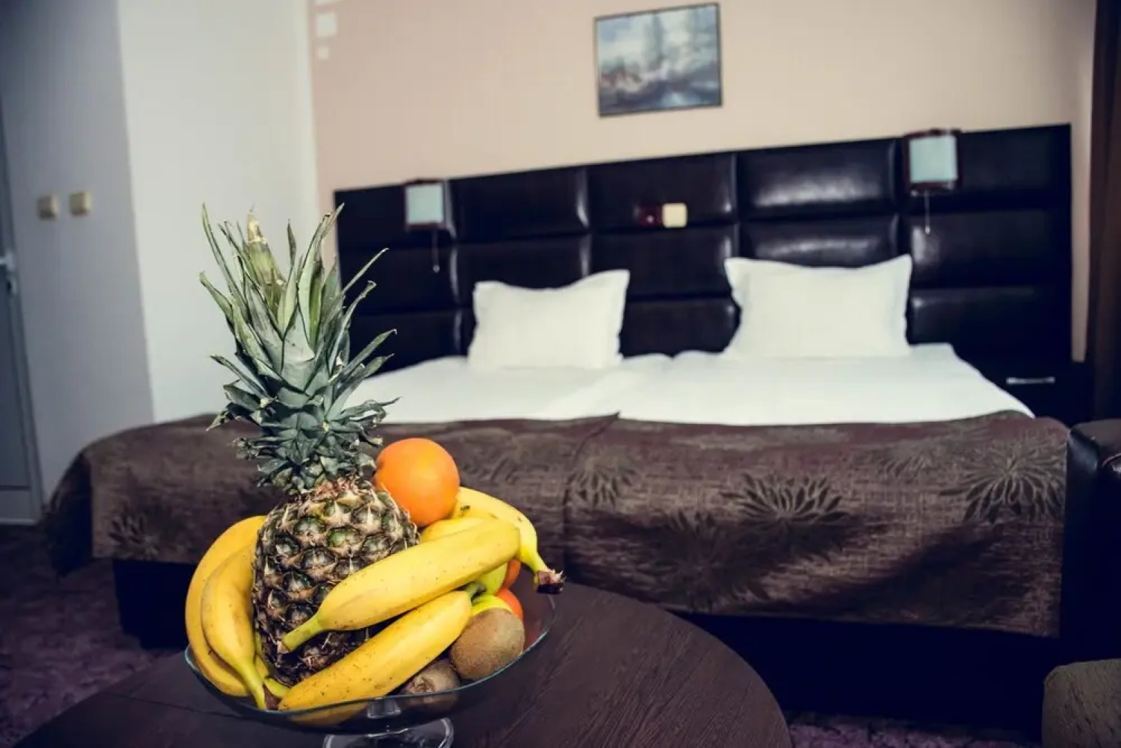 Zdravets Hotel Wellness & SPA