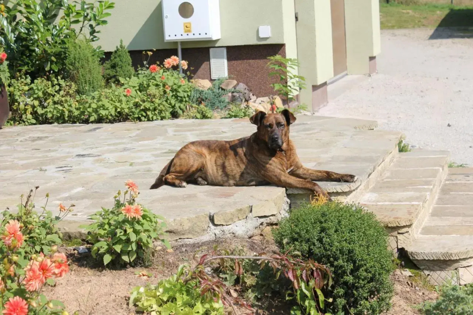 Słoneczna Zagroda - Sunny Ridge Farm