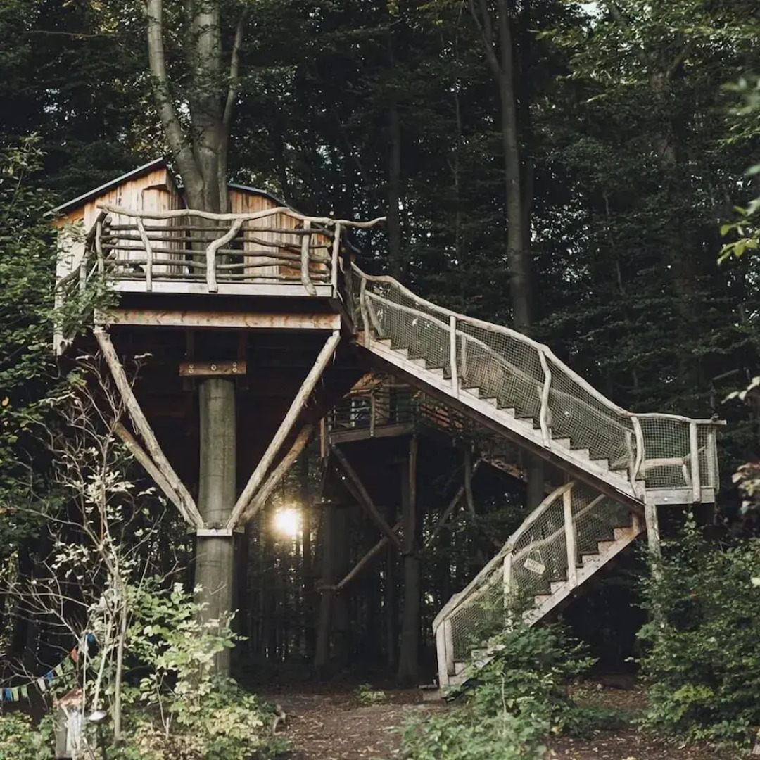 Robins Nest Baumhaushotel