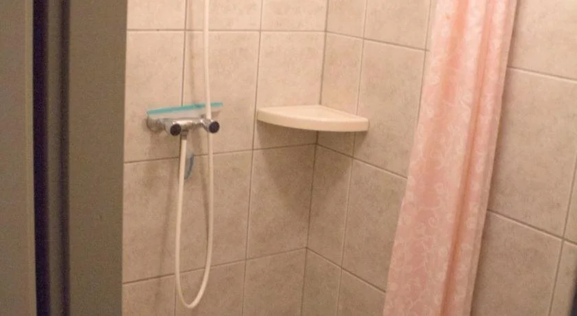 B&B Het Farm-house Natuurpark