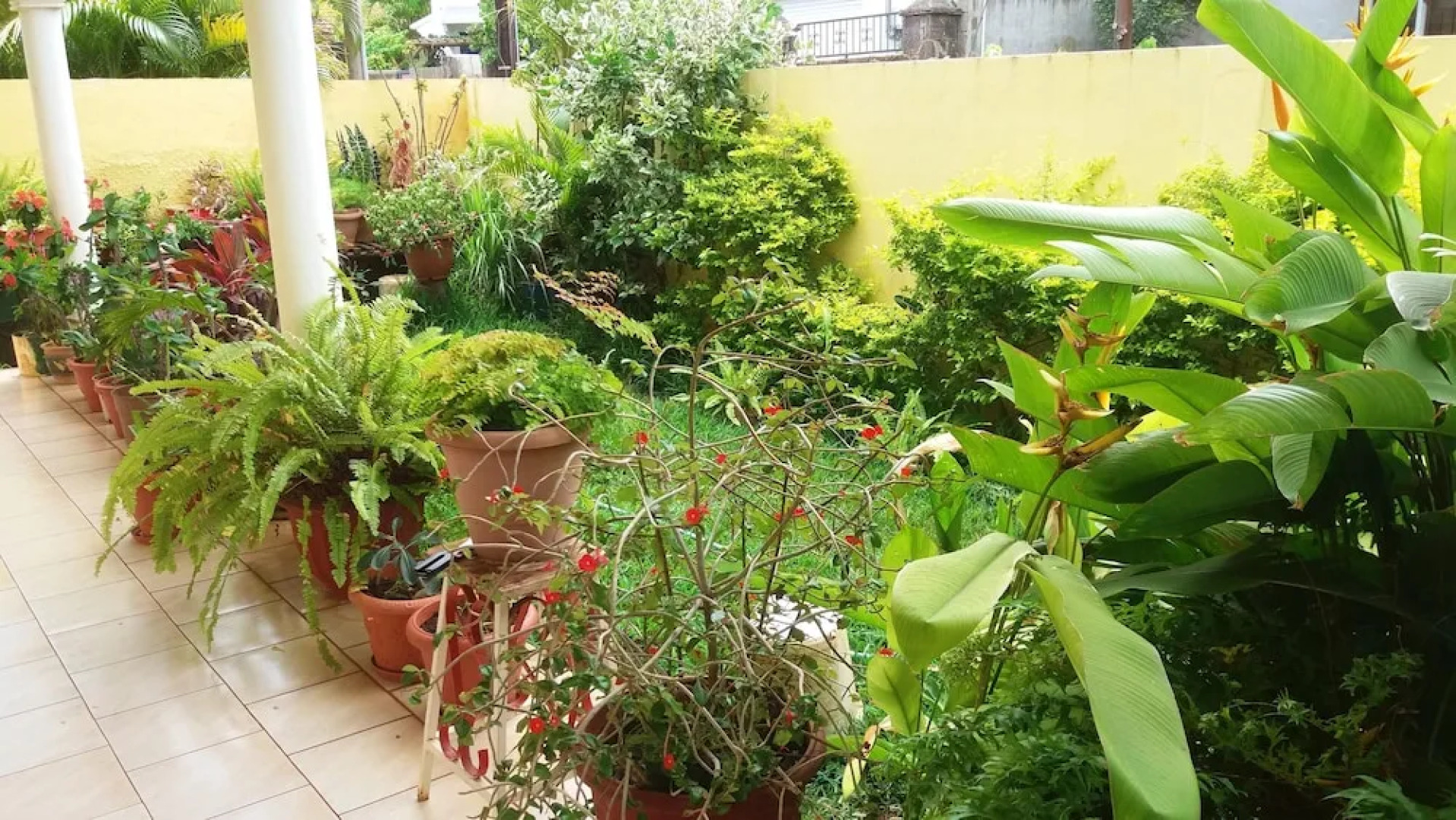 Apartment With 3 Bedrooms in Pointe aux Sables, With Enclosed Garden a