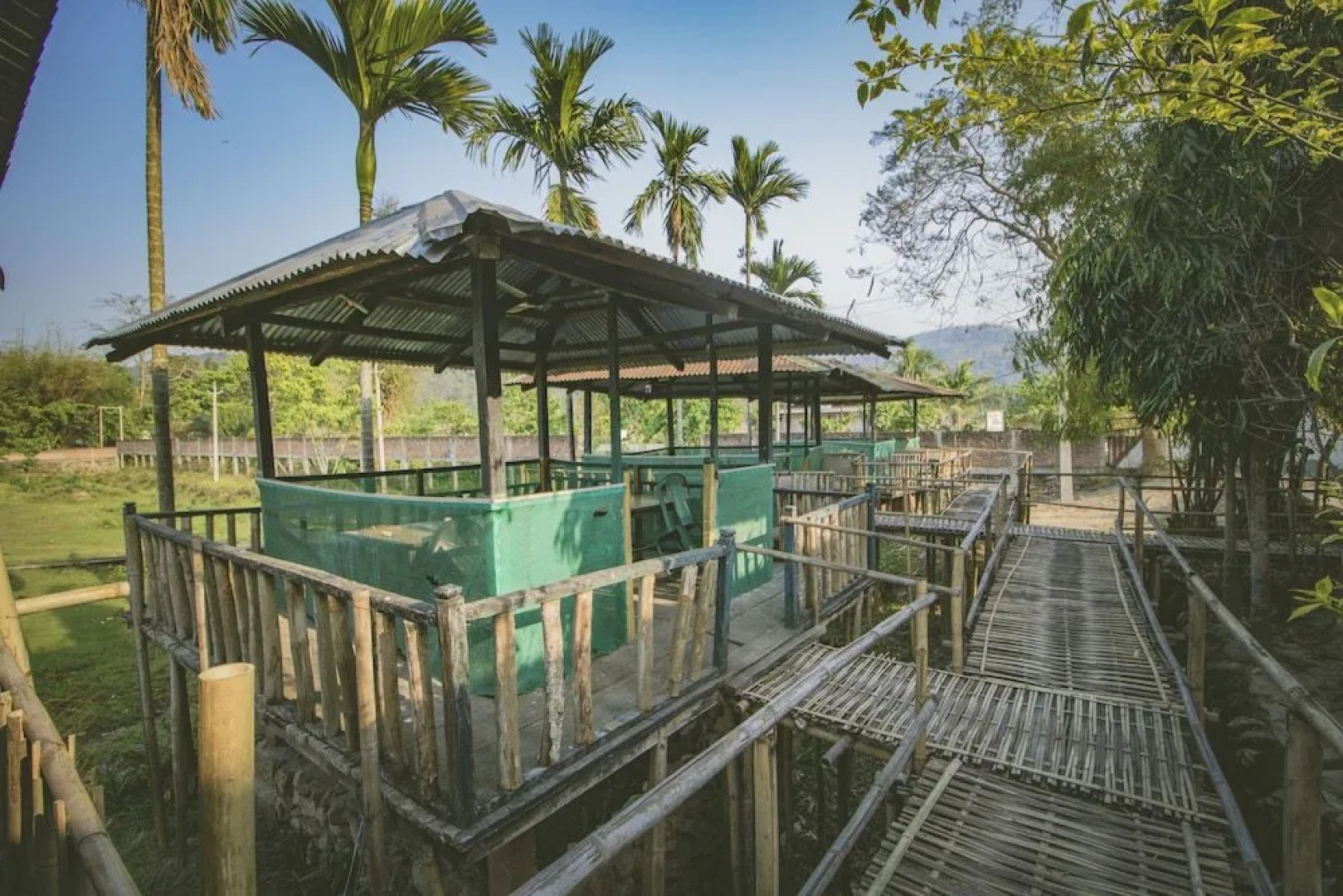 Green Ashiyana Resort