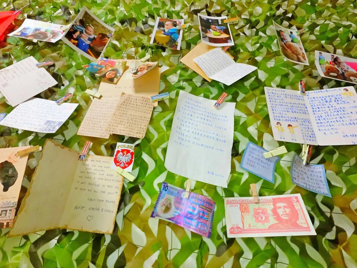 Sleeping Bag Boar Backpacker