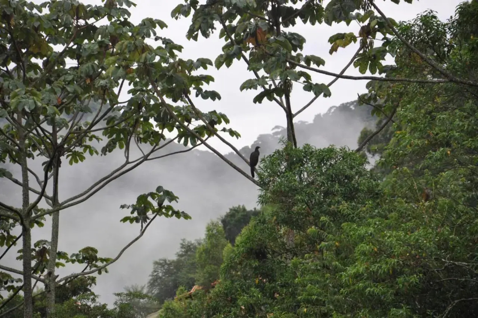 Pousada A Rosa e o Rei