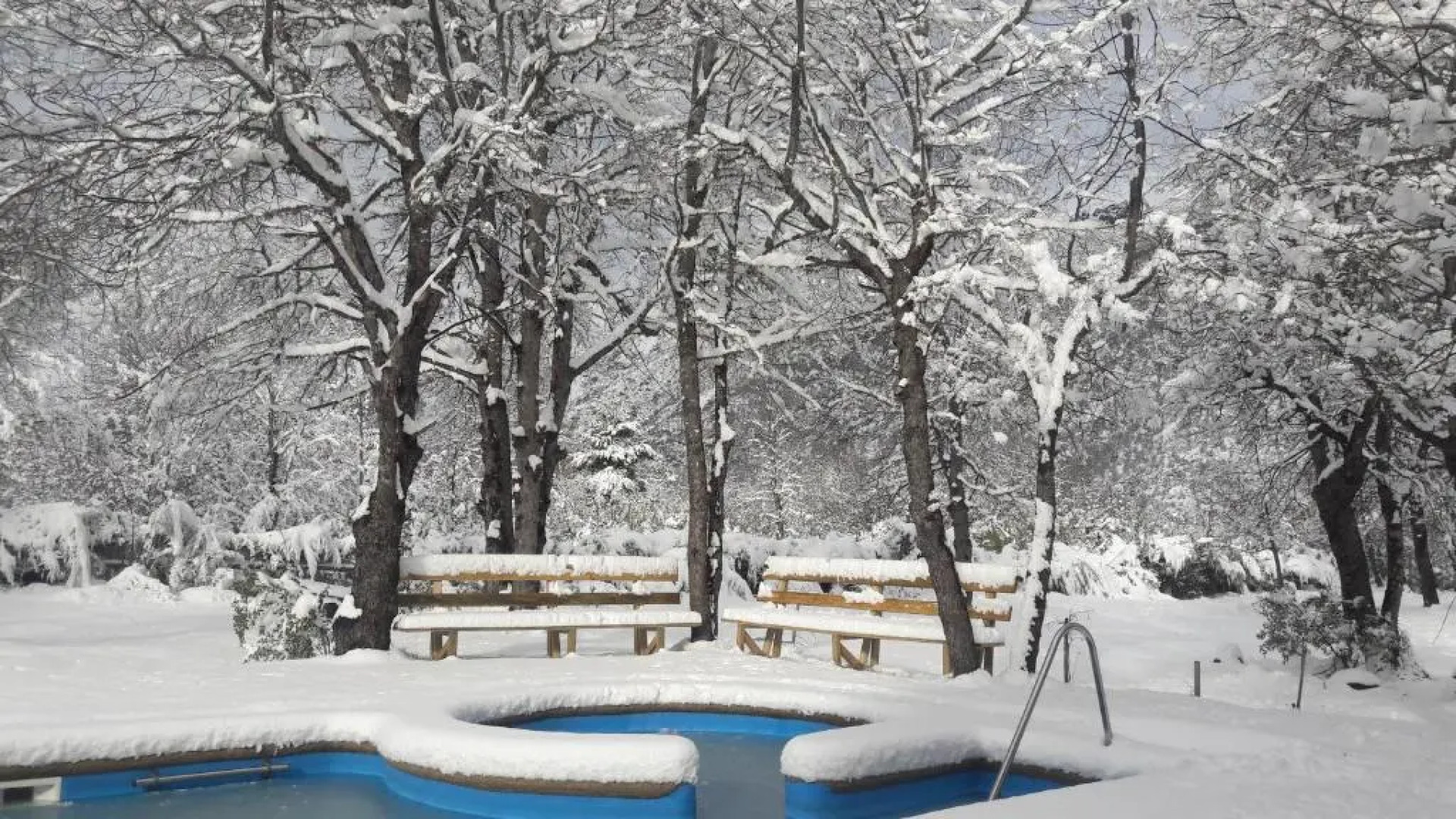 Cabañas Tronco Mayen