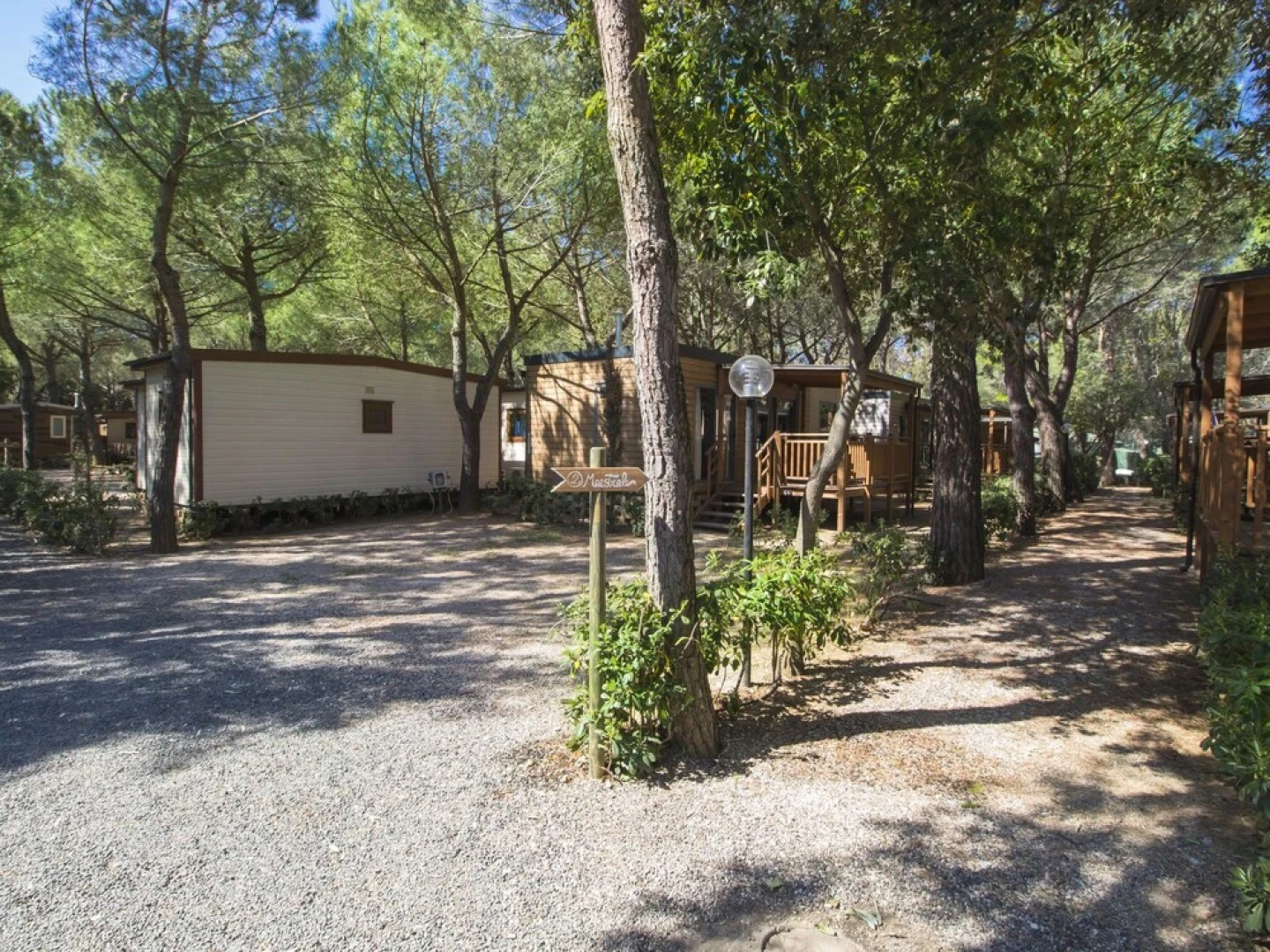 Gineprino Marina di Bibbona