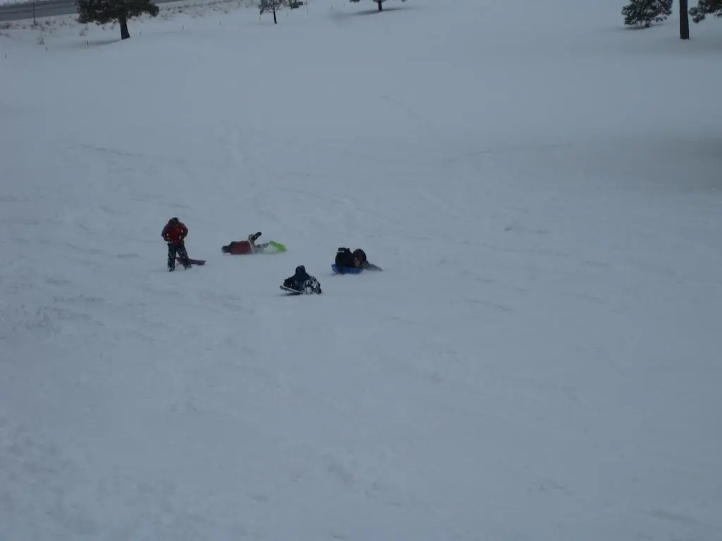 Alpine Inn of Pagosa Springs
