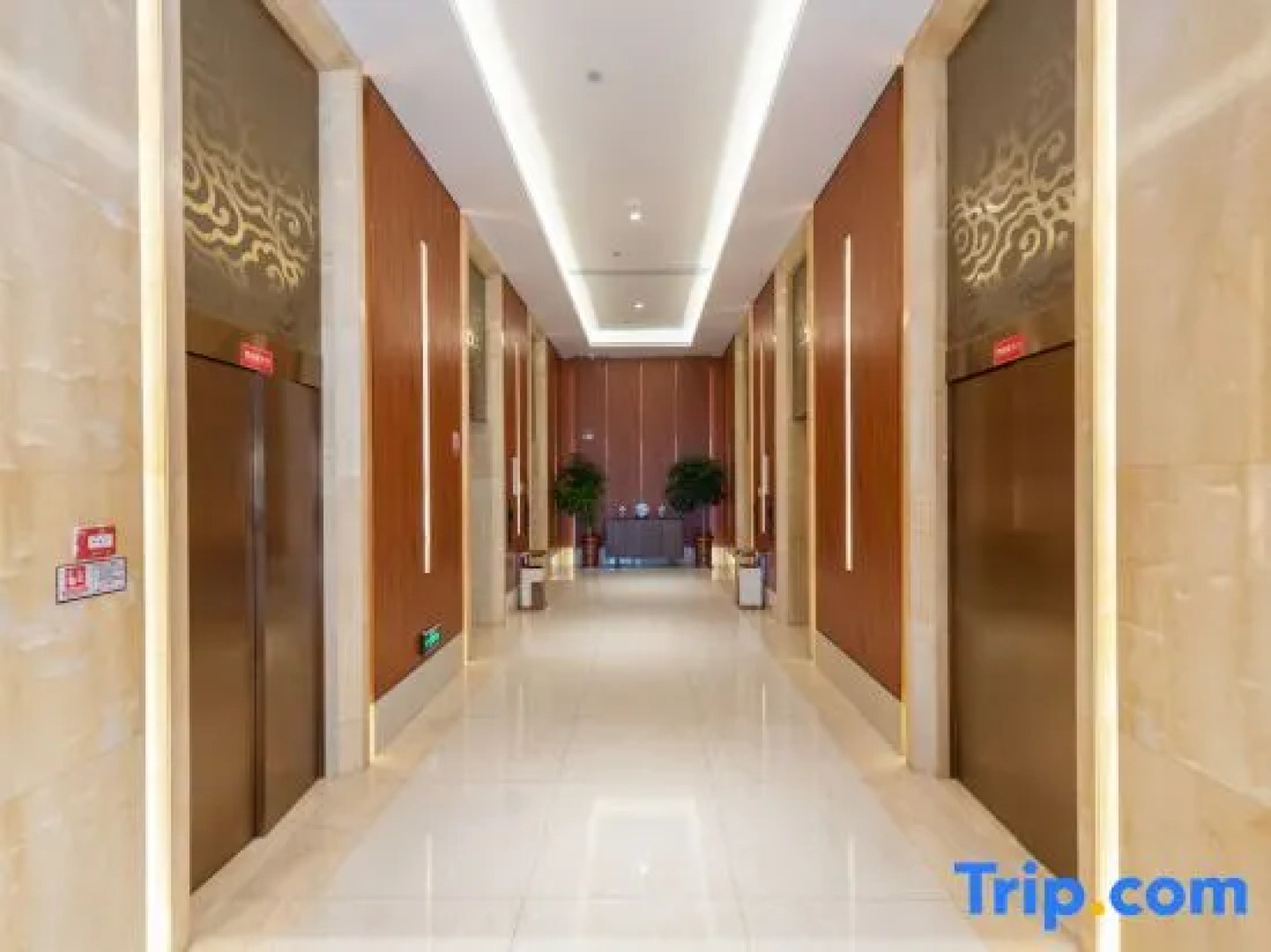 Tuanfenghong Road International Hotel