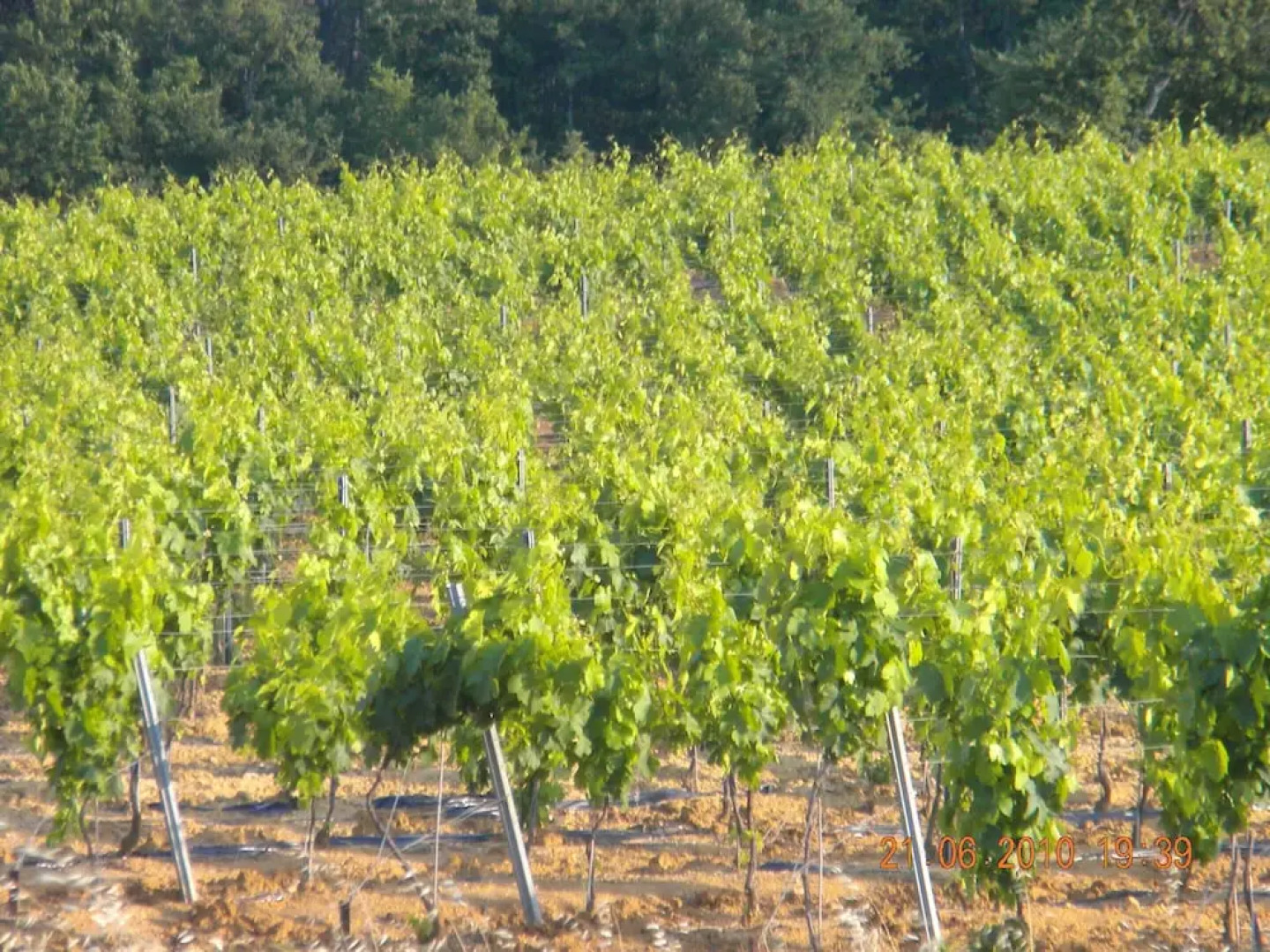 House With 4 Bedrooms in Nans-les-pins, With Wonderful Mountain View,