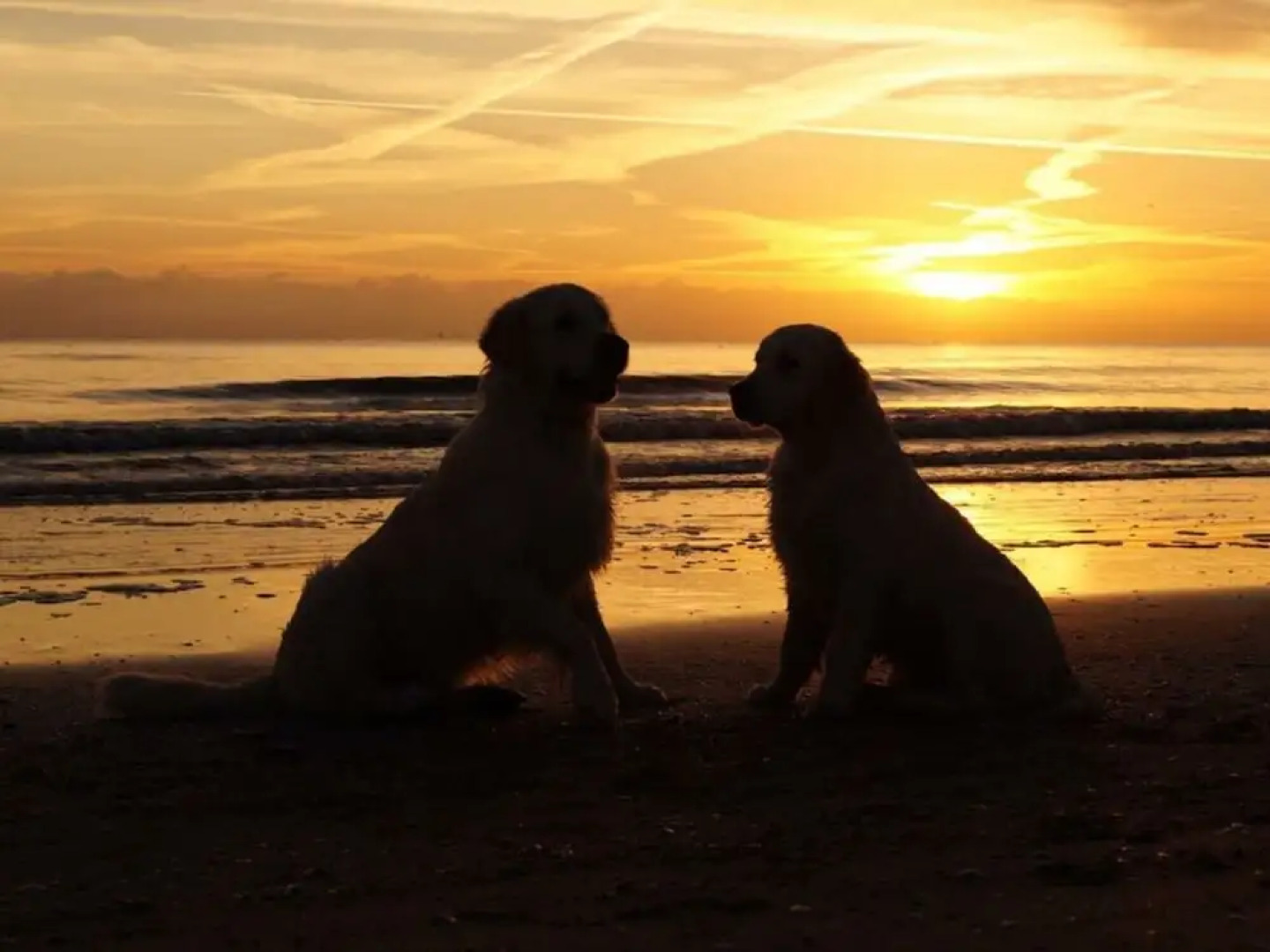 Time out Karlshagen Comfortable Vacation Home