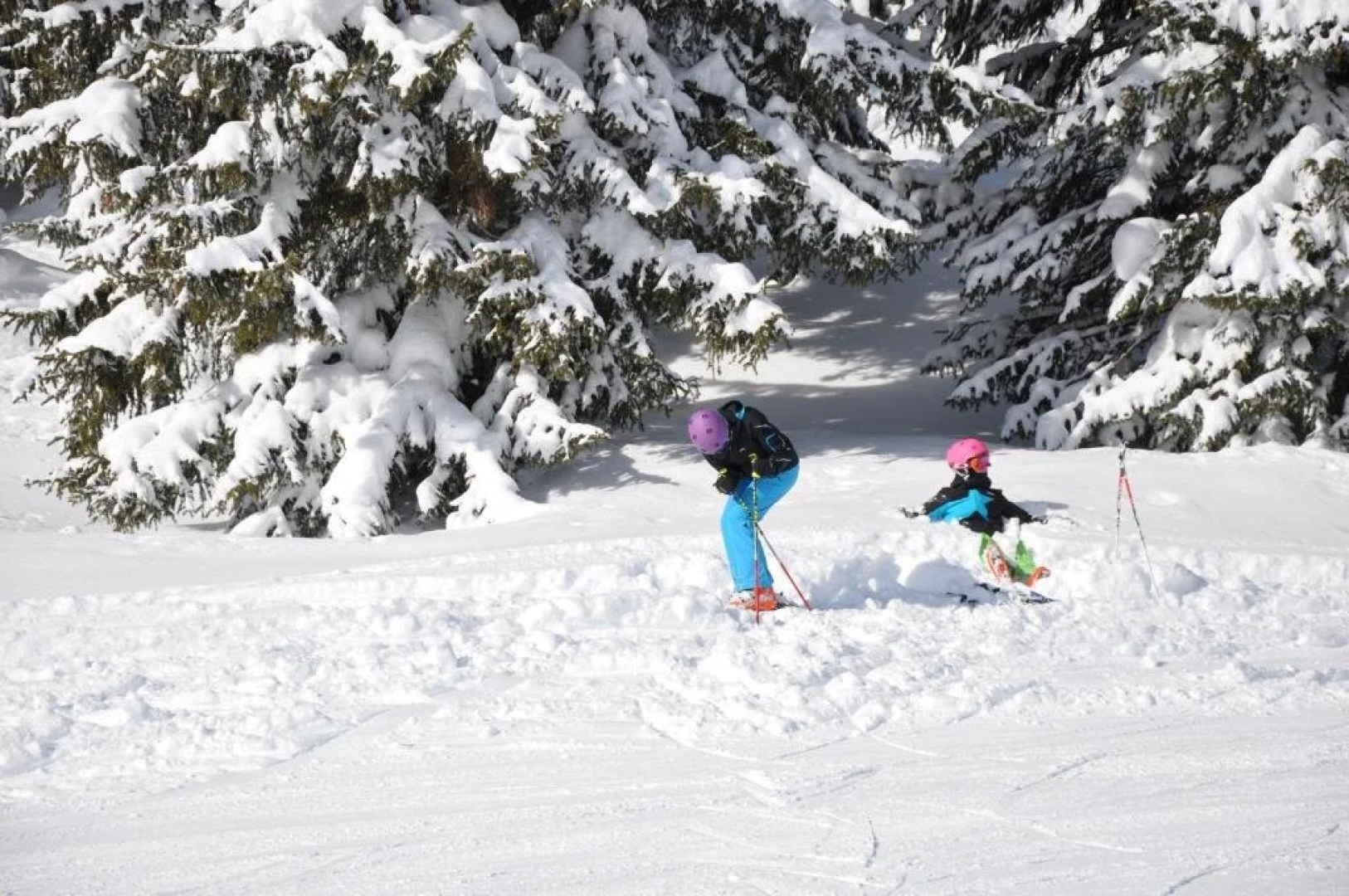 Chalet Edelweiss