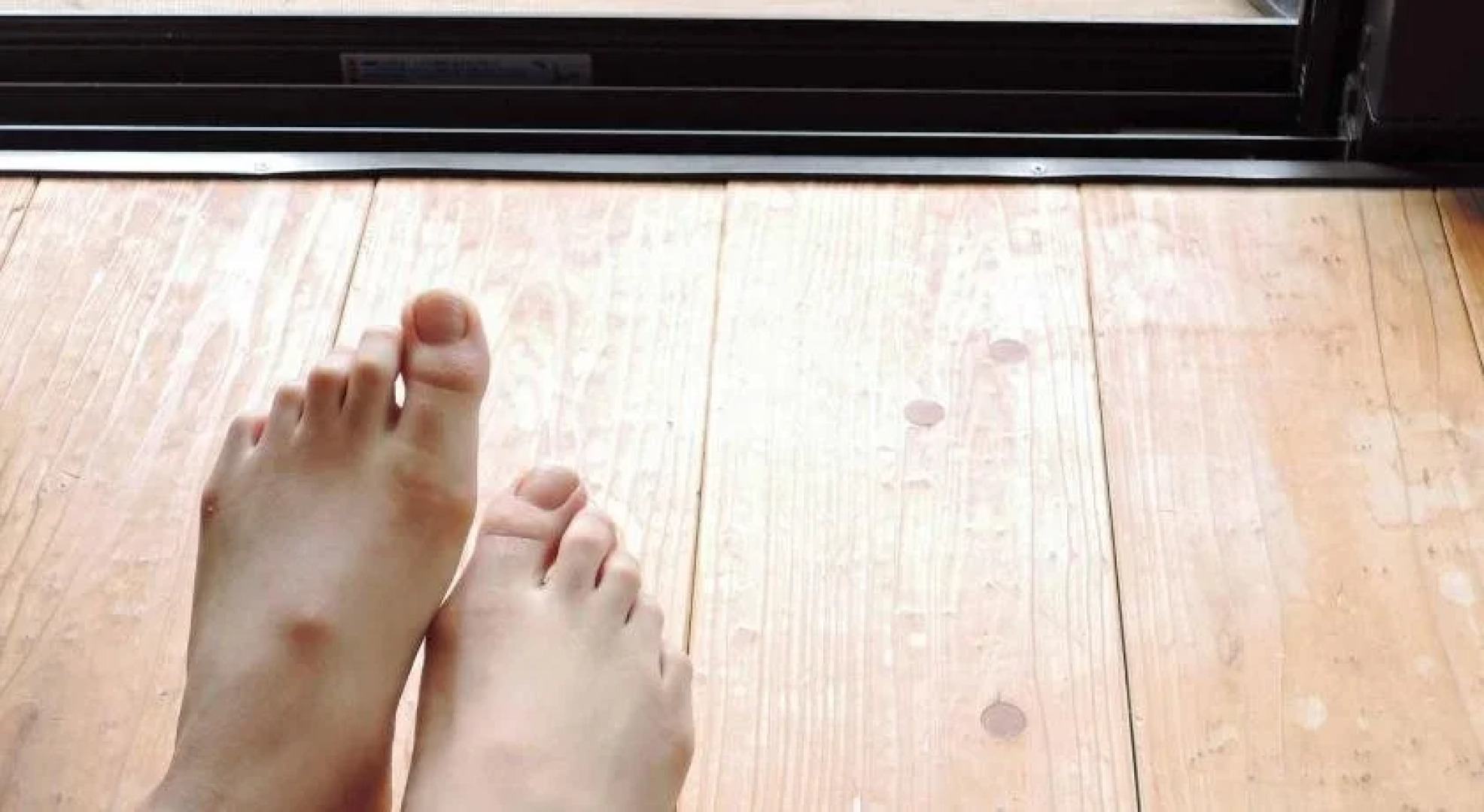 Iyashino Minshuku Tonton