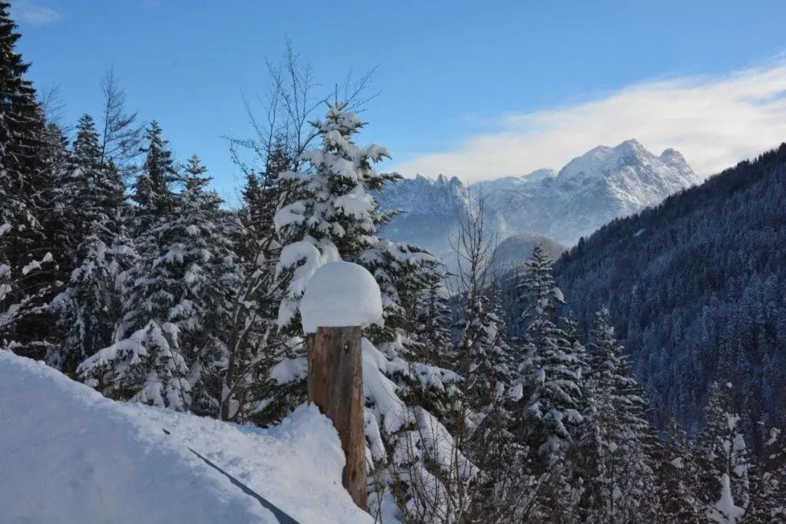 Riegergut - Inh 29569