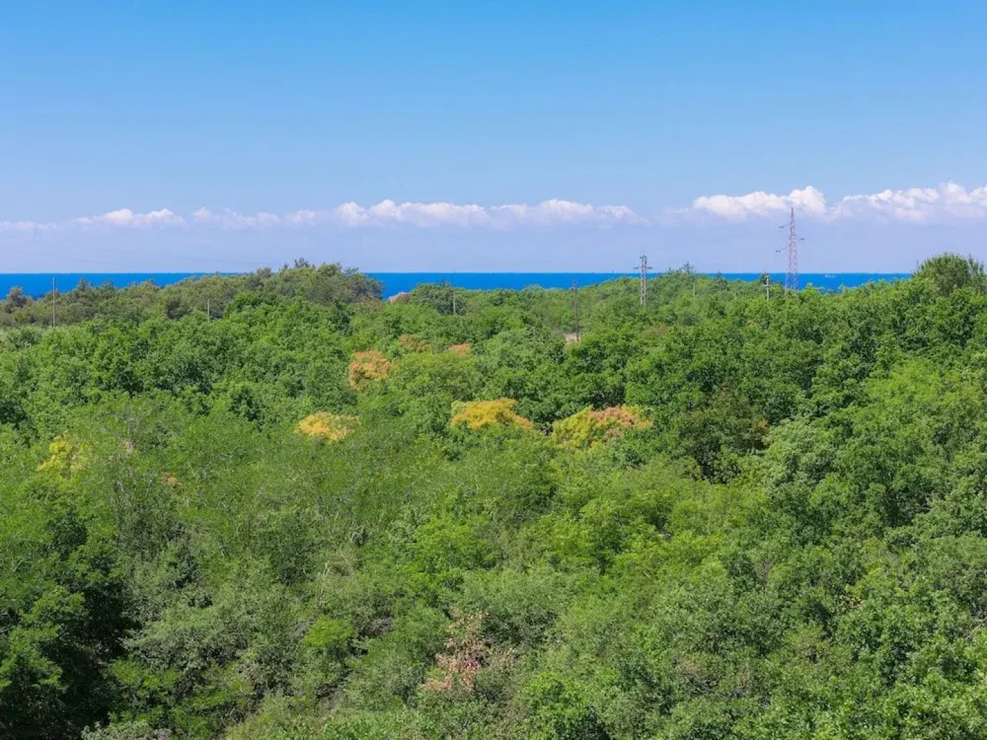 Bibali in Bibali With 3 Bedrooms and 3 Bathrooms