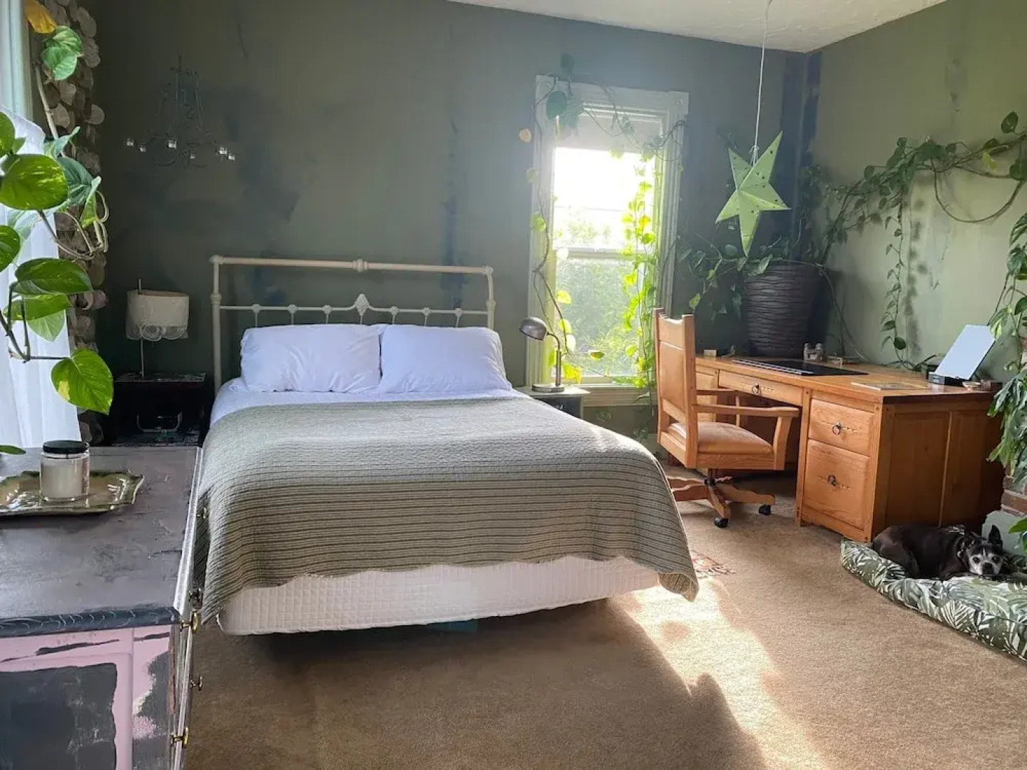 Victorian on Garden Best Location in Town