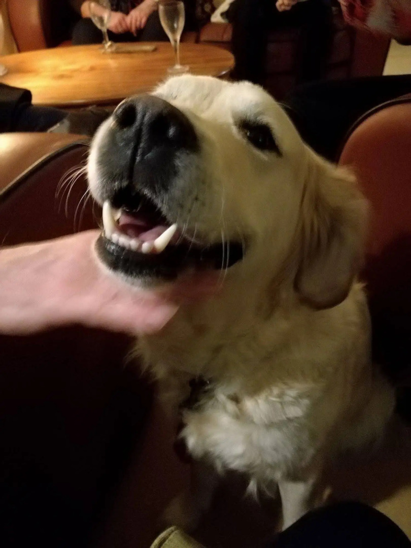 Rose In Vale Country House Hotel