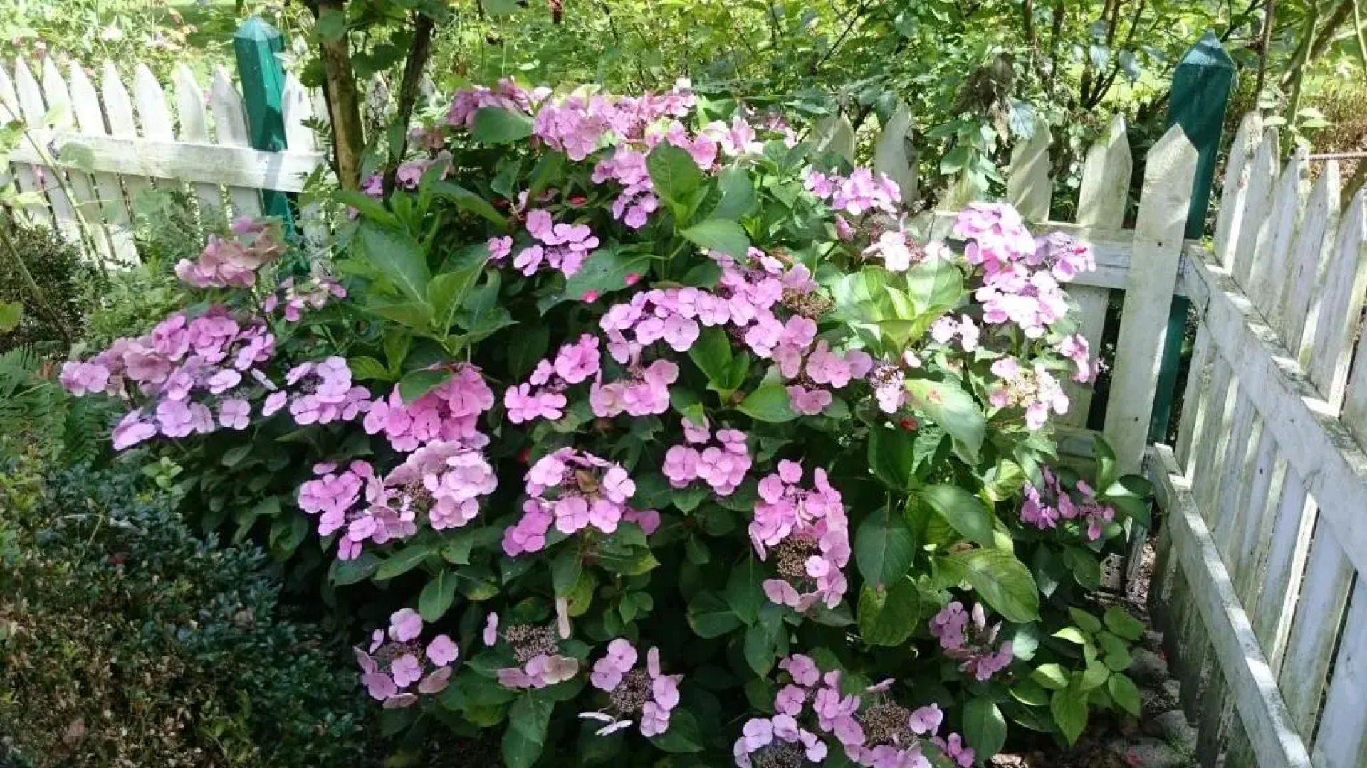 Appartementhof Stadler