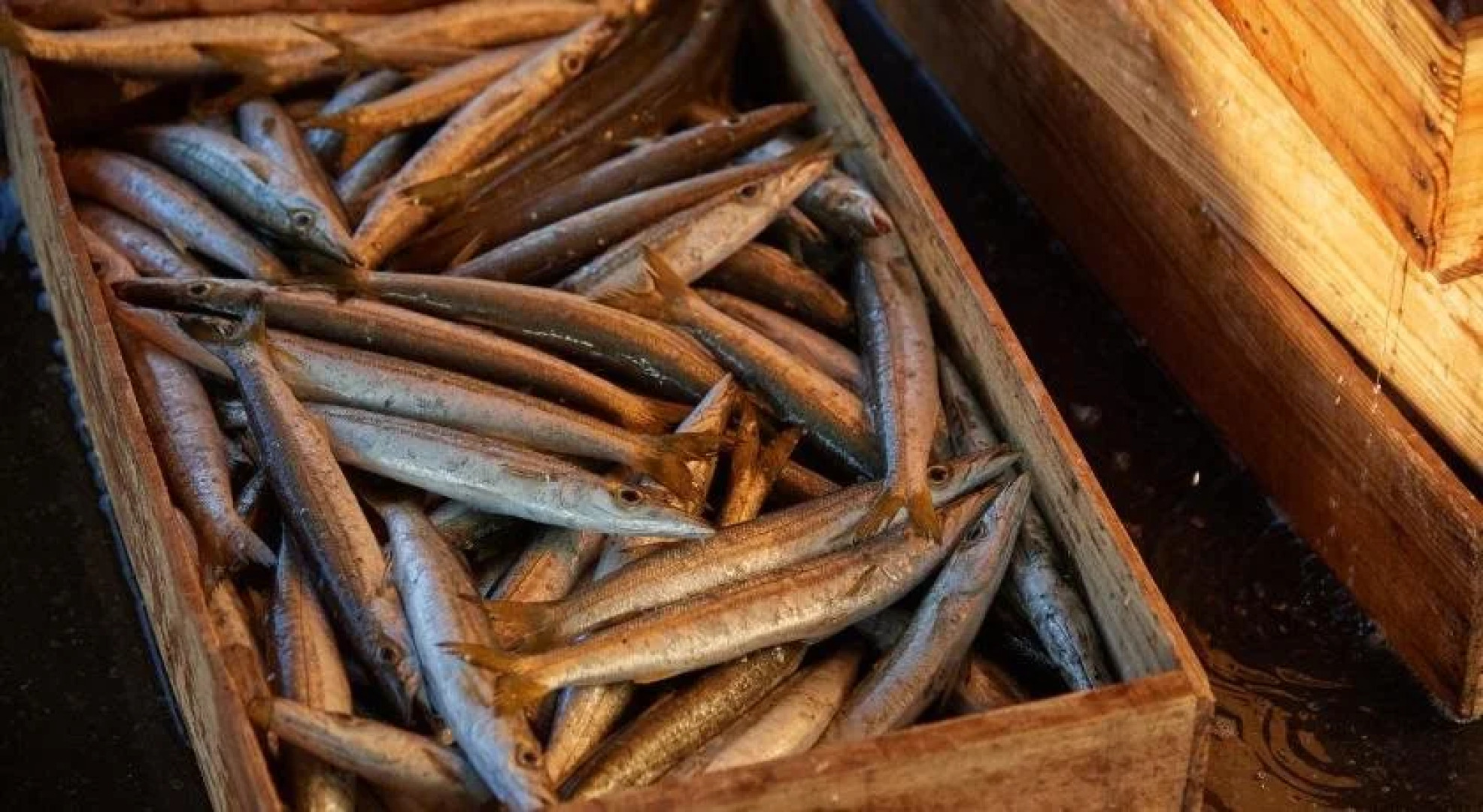 Sazareishi Takashima