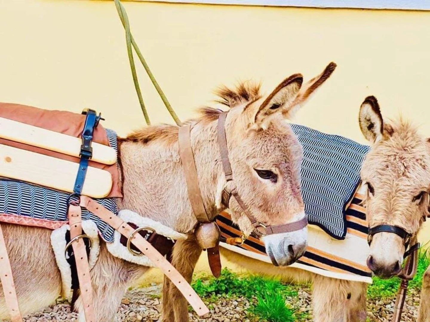 Scala San Giorgio Hotel