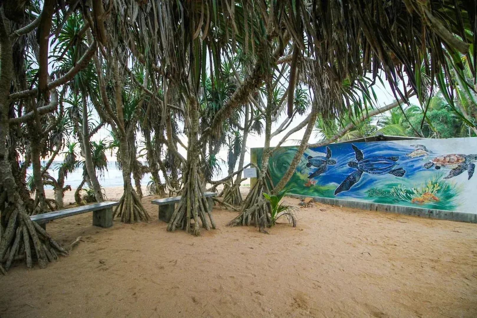 OYO 397 Sea Beach Inn