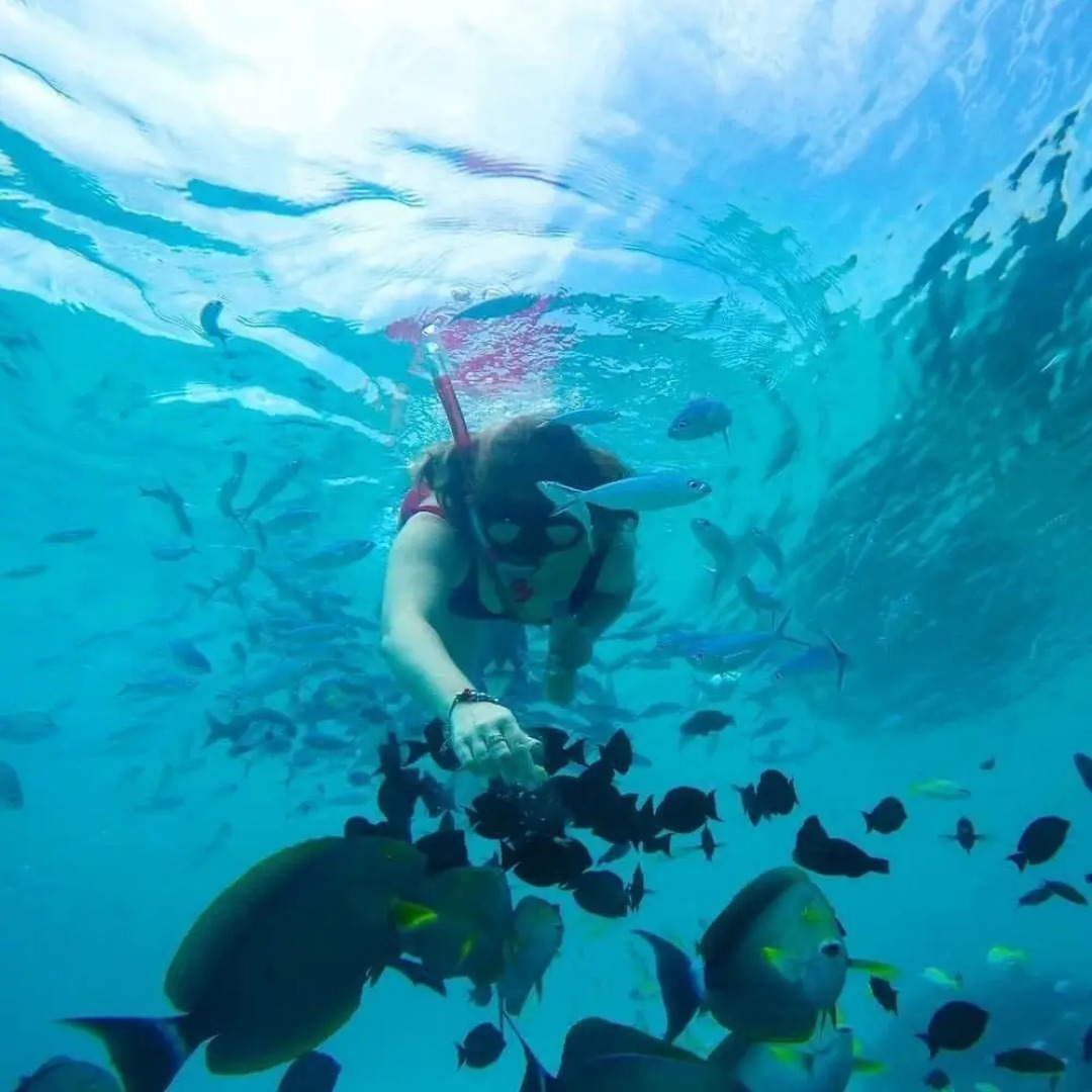 The White Sand Dunes Rasdhoo