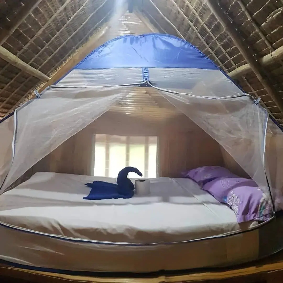 Nirvana Bamboo & Dive resort