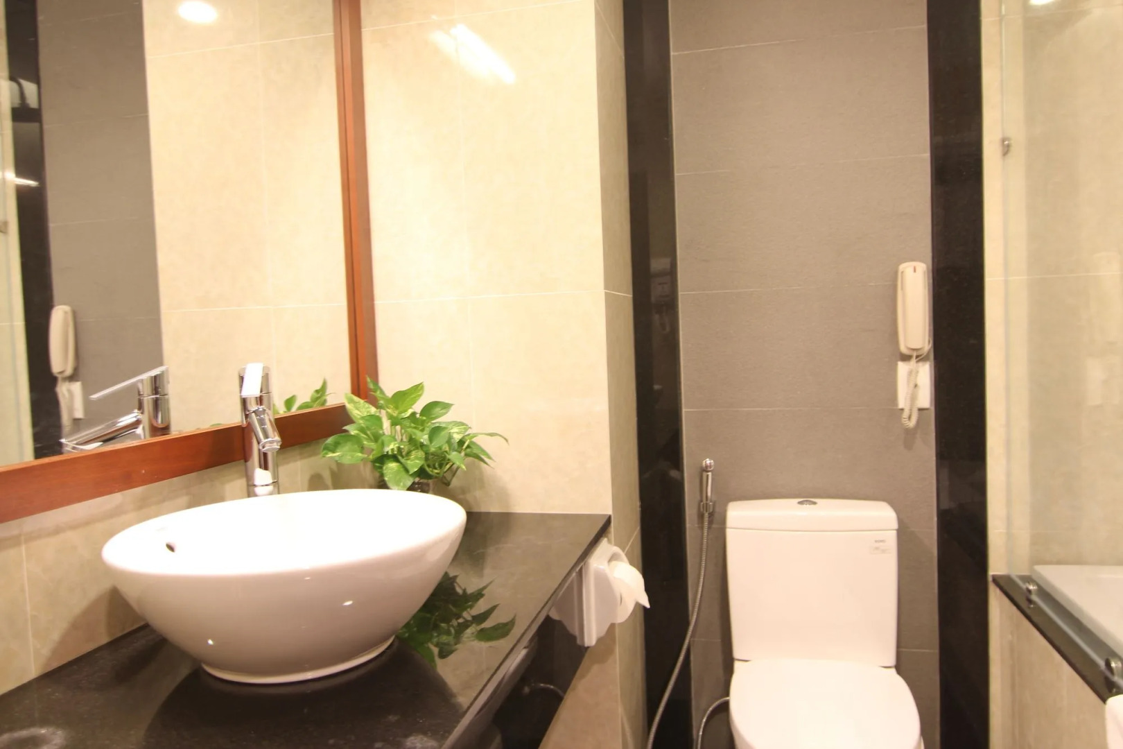 Rex Hotel Vung Tau