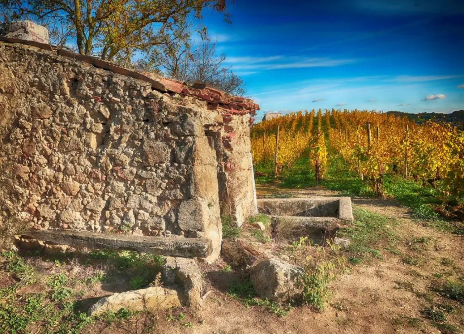 CONDRIEU T3 Climatisé 2ème étage