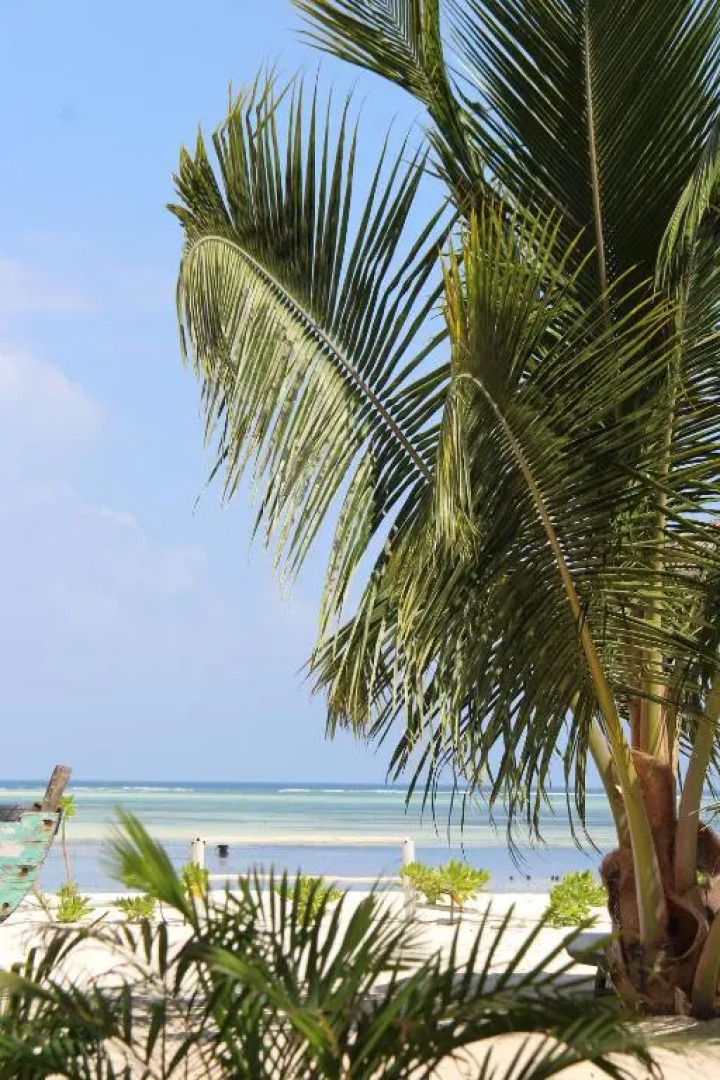 Отель Sofia Sea View