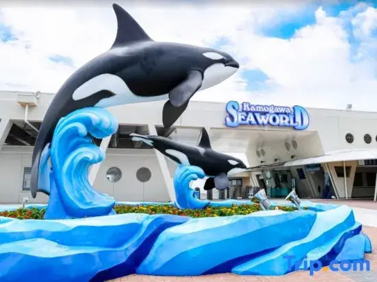 Malama Monstera In a botanical space, pls have a relaxing time.