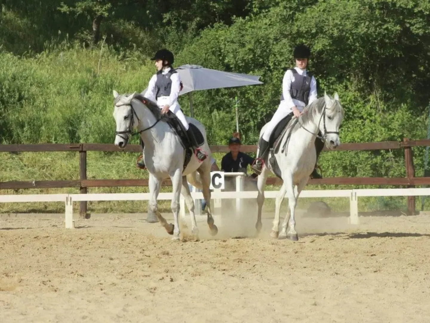 Urban Farmhouse in Umbria With Pool