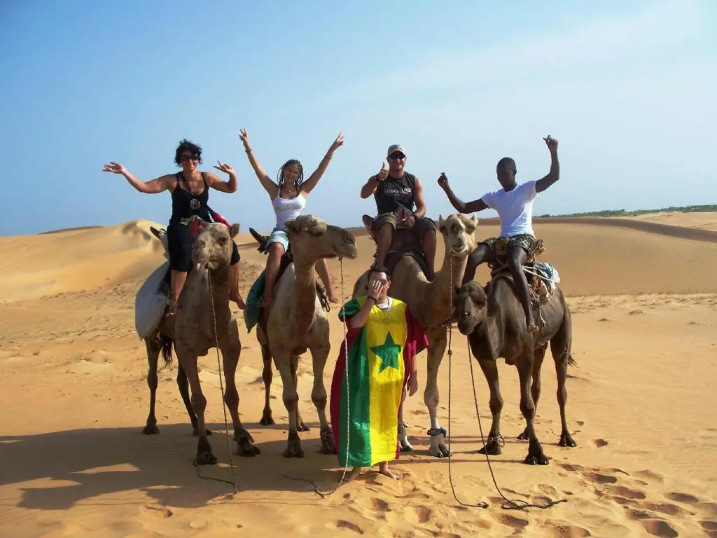 Safari Village - Case73