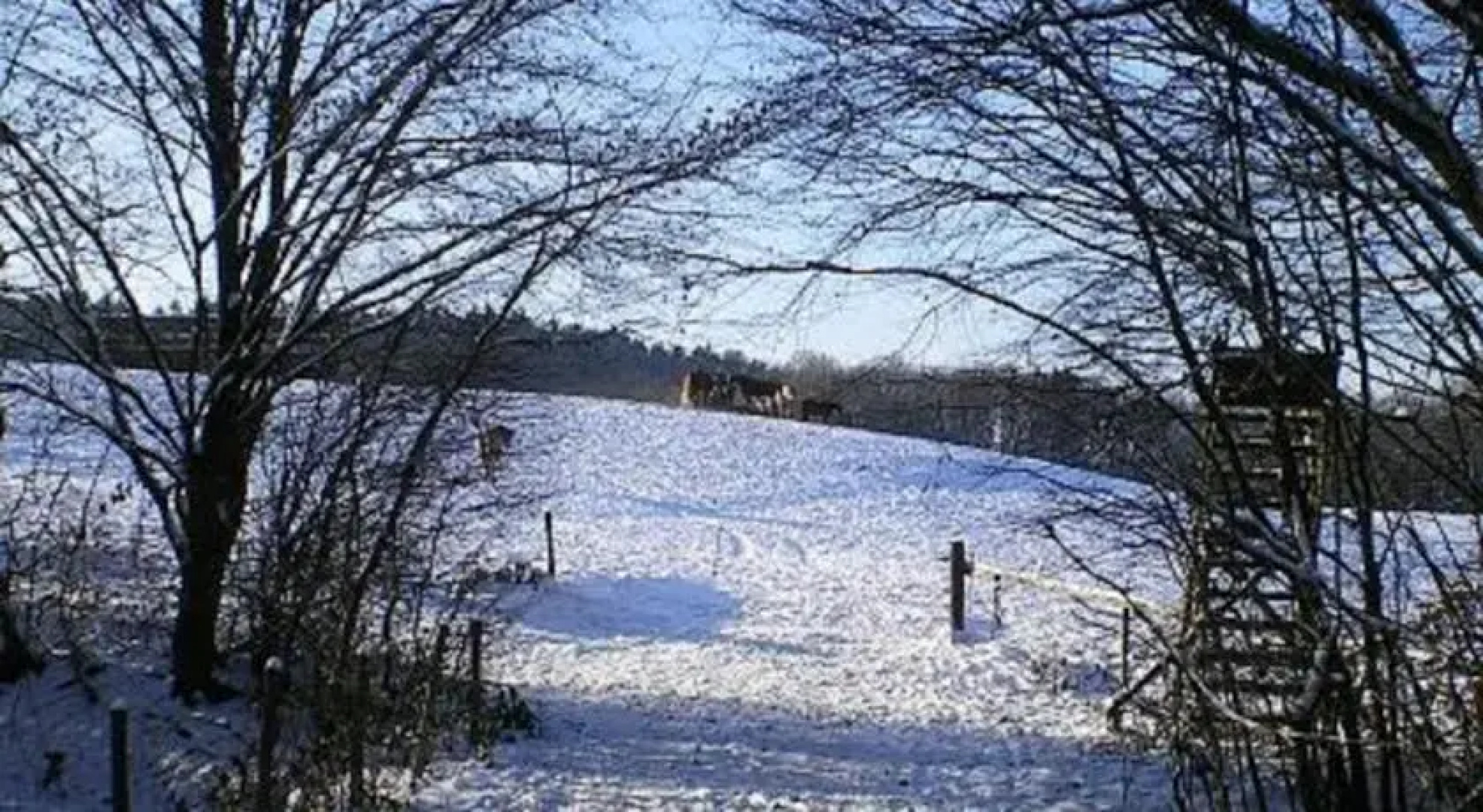 Ferienhaus auf Reiterhof im Westerwald