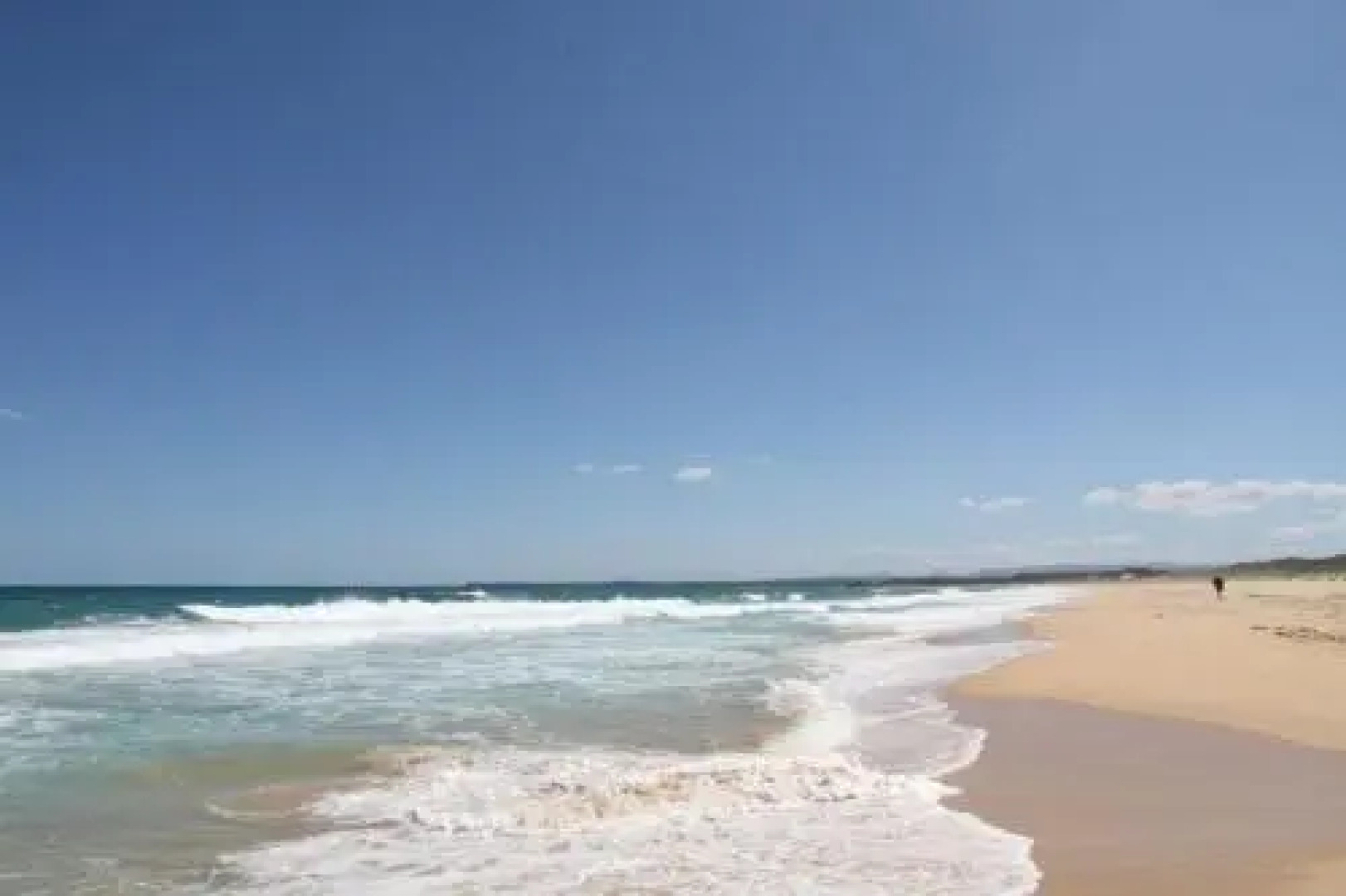 House that has the Lot