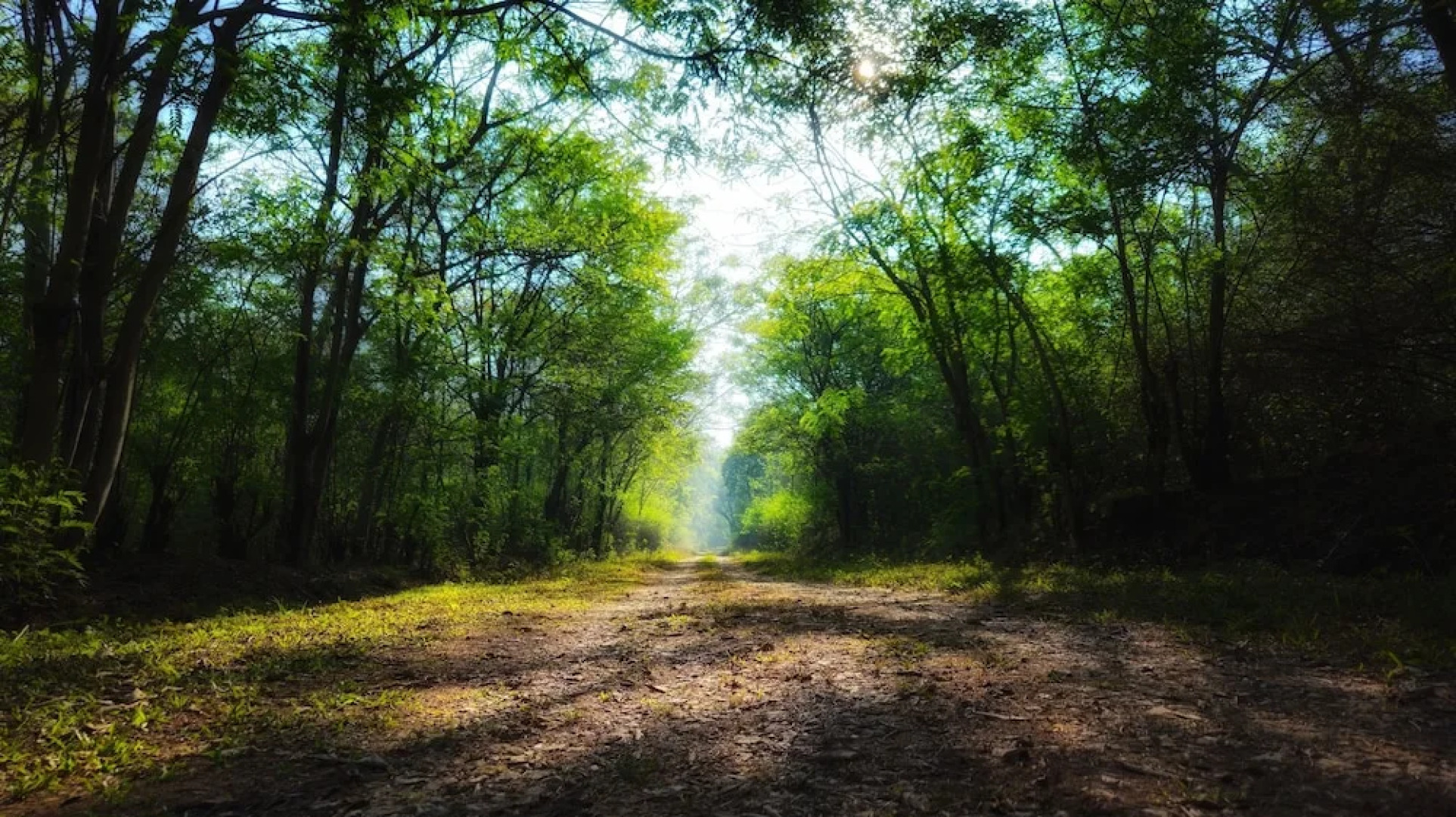 Devigiri Home Stay and Resort